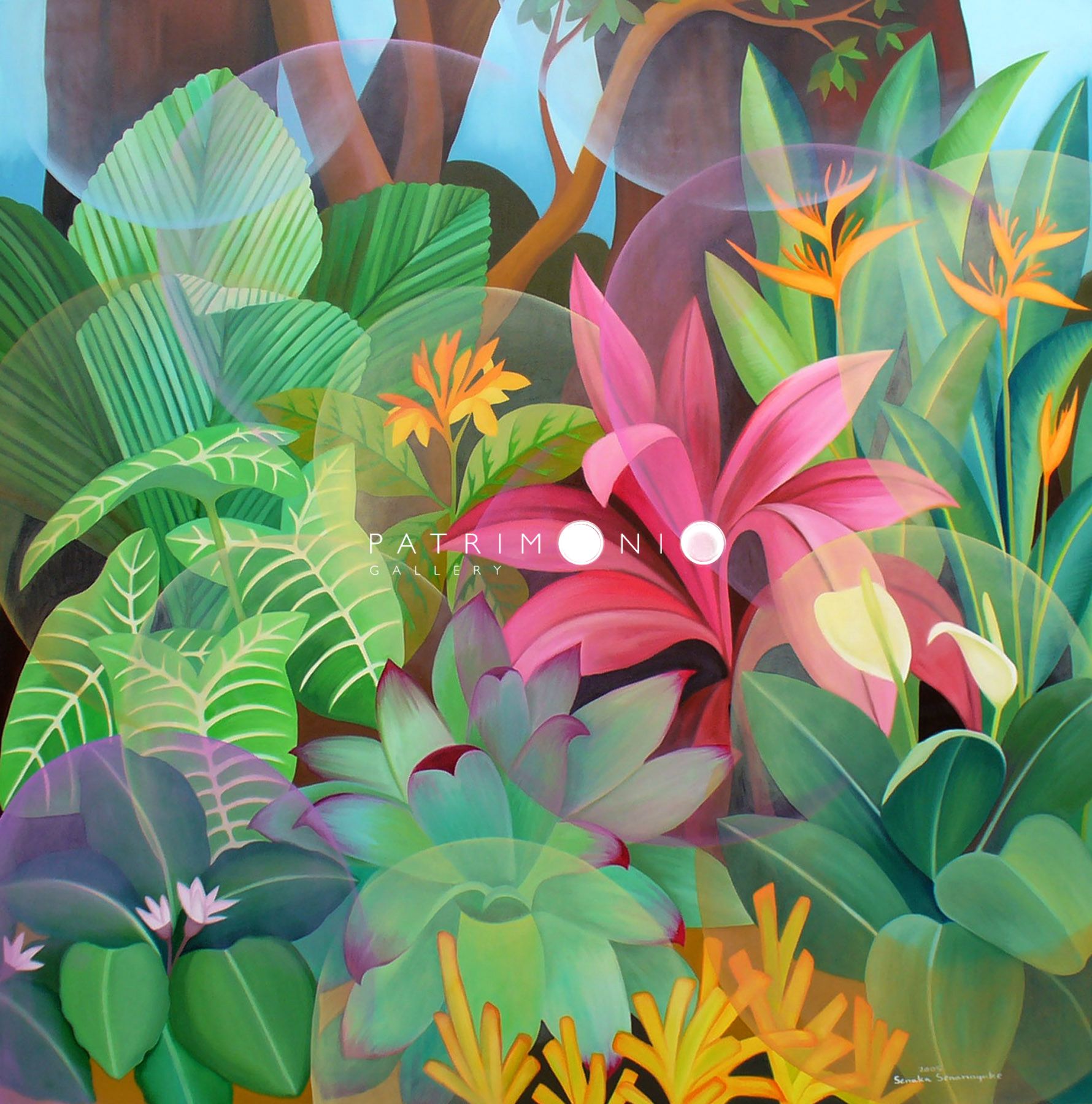 Sinharaja Rainforest