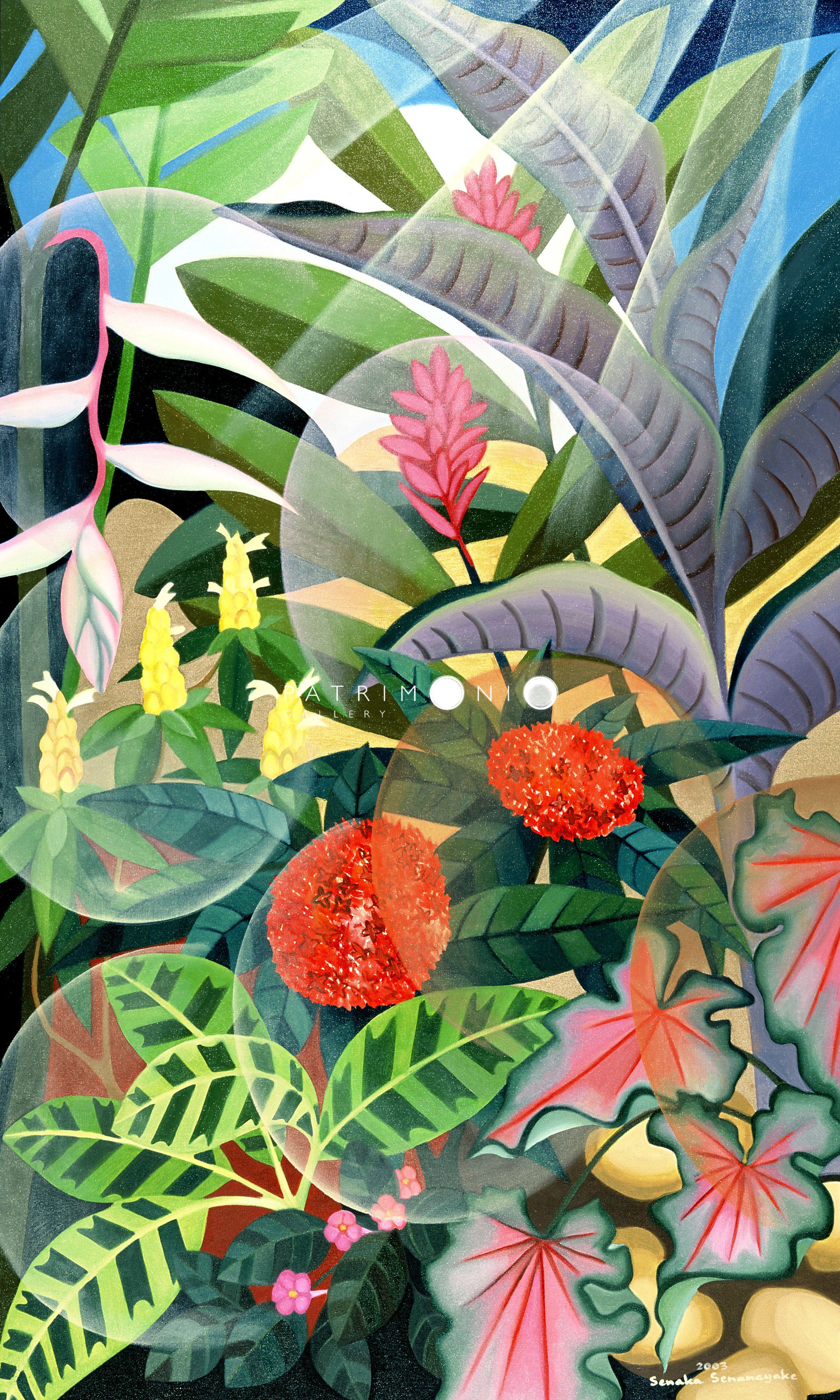 Tropical Garden