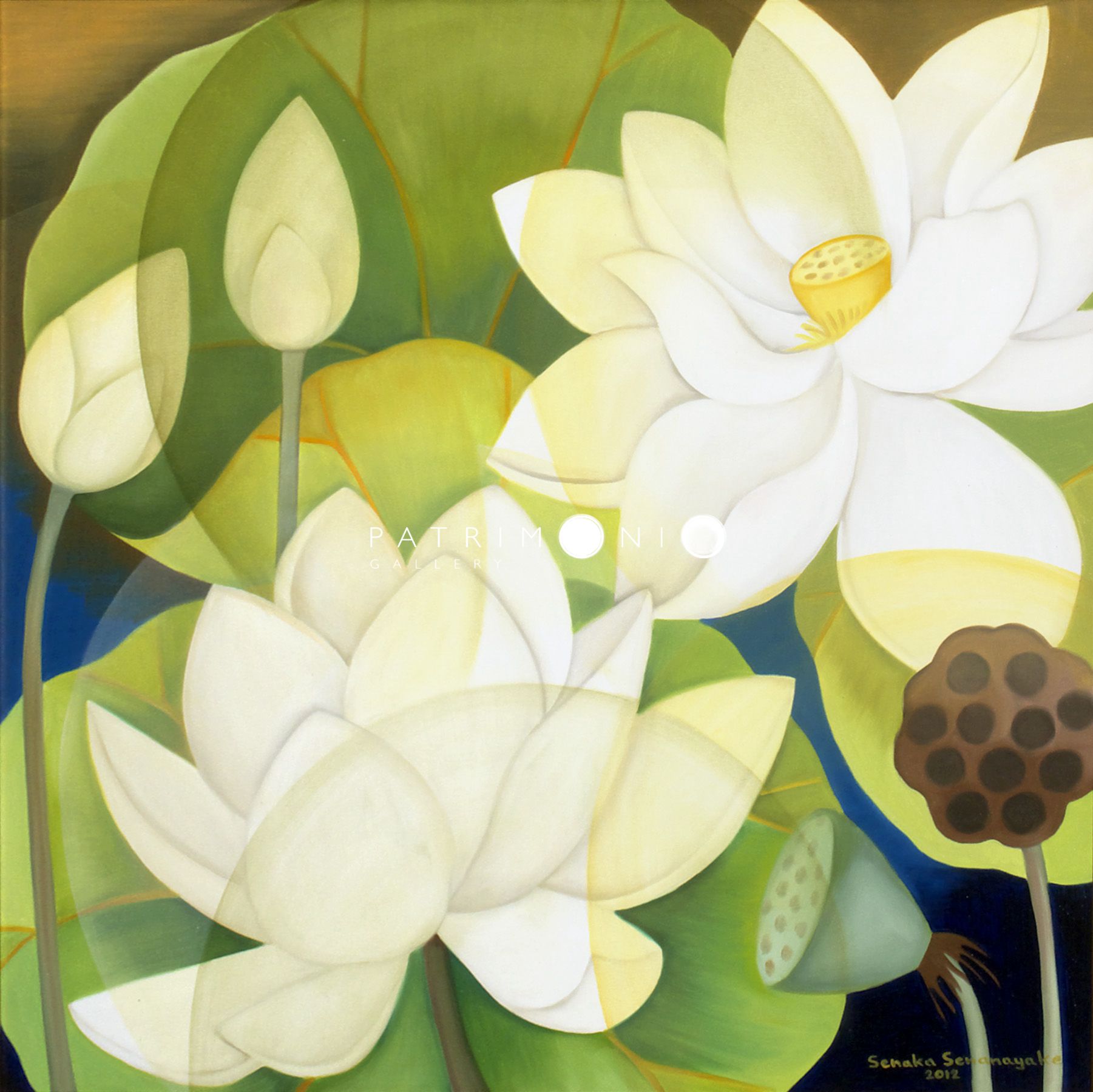White Lotus