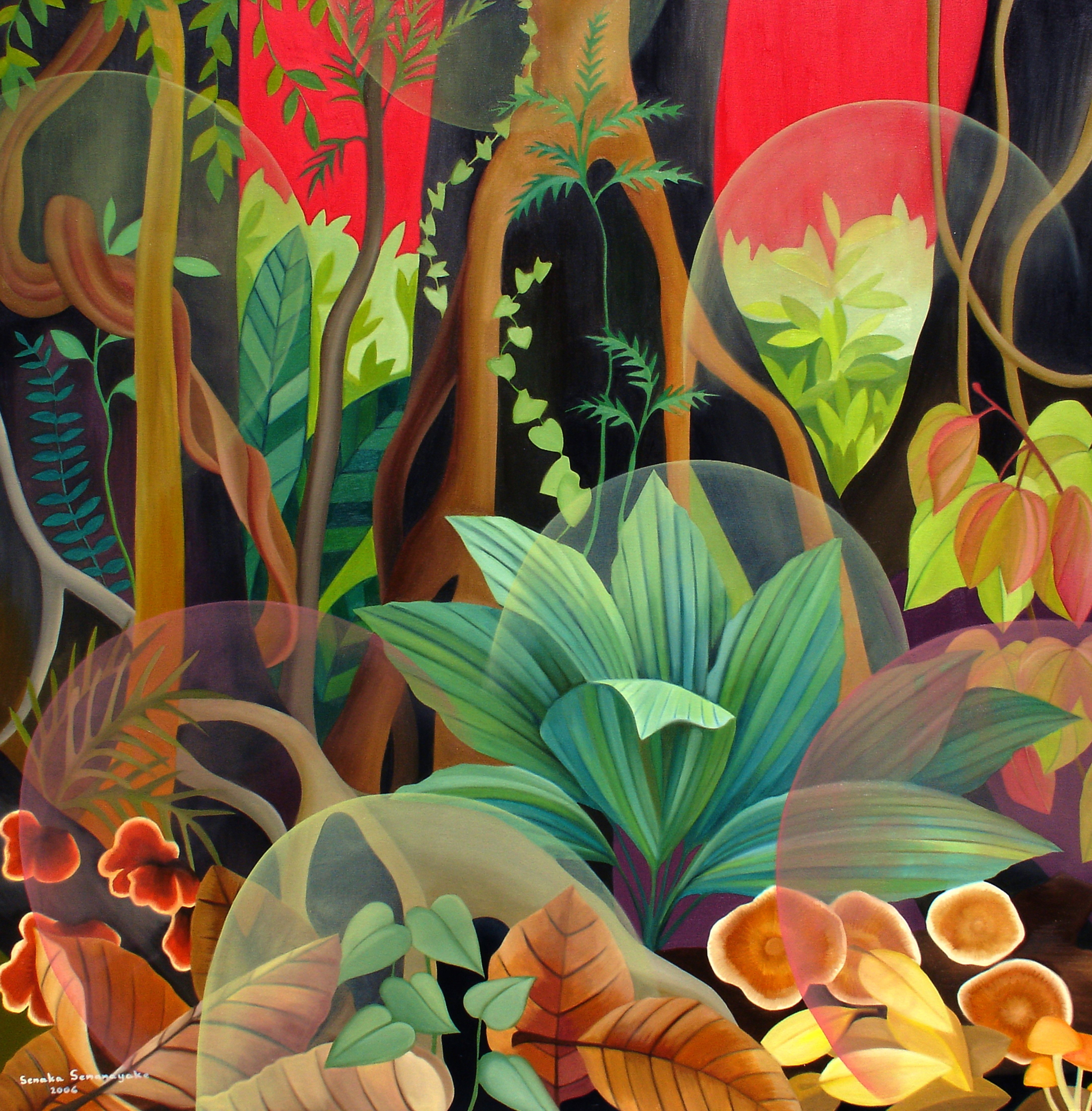 Rainforest At Sunset