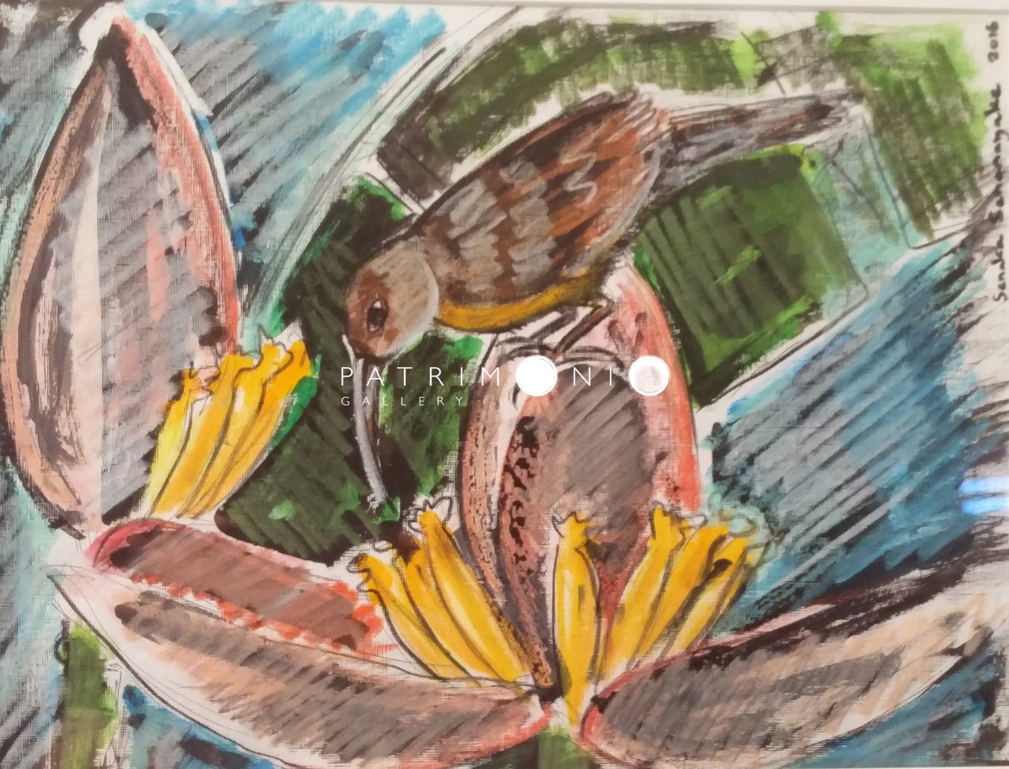 Feeding Hummingbirds