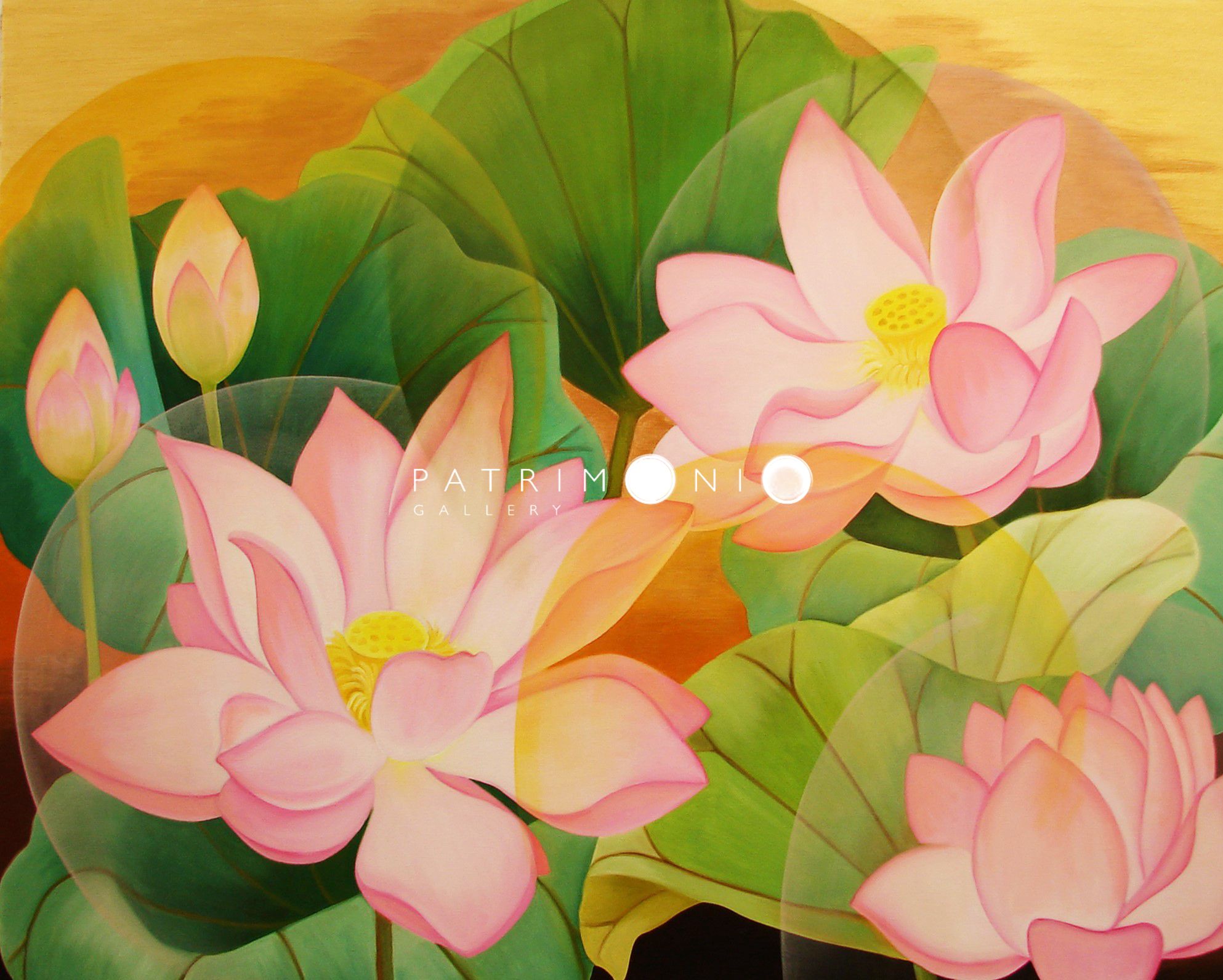 Lotus Bloom