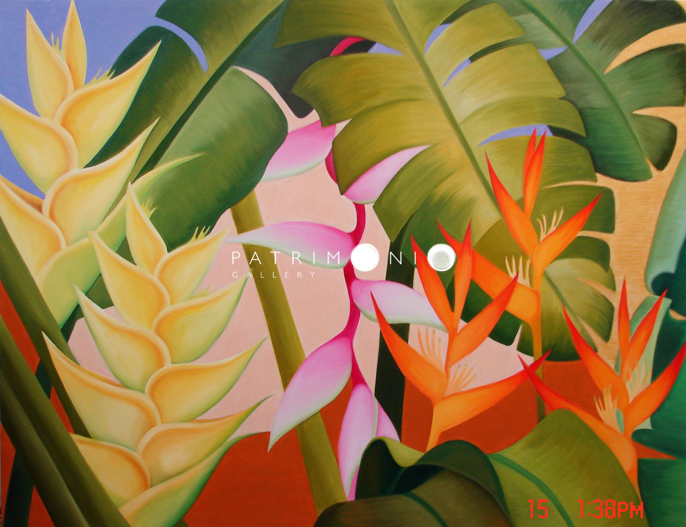 Heliconias At Midday