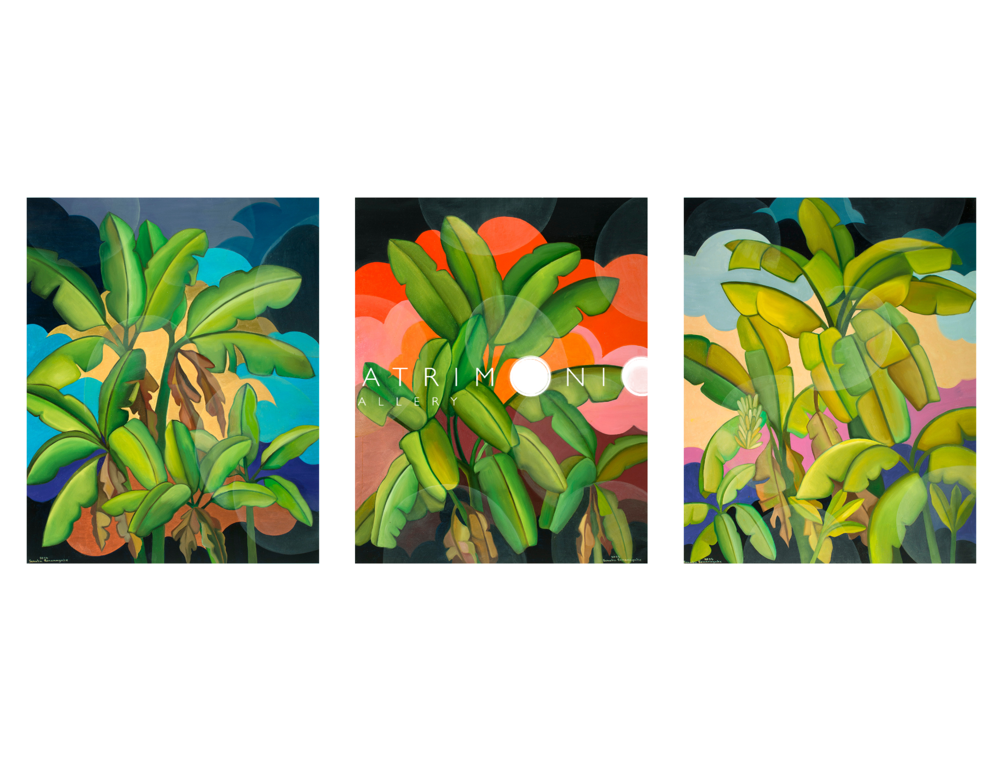 Banana Grove (Daybreak, Noon & Dusk)