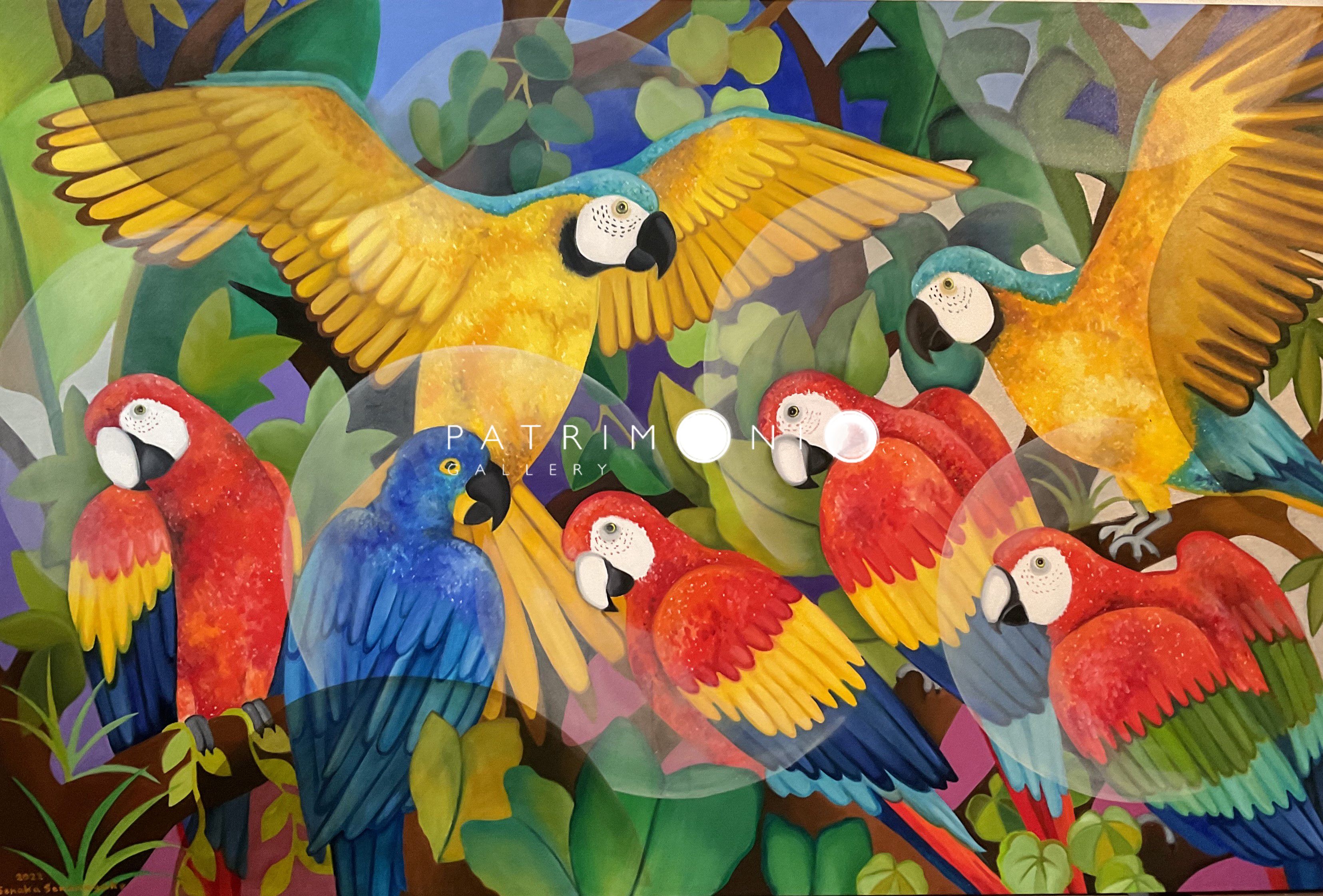 Macaws