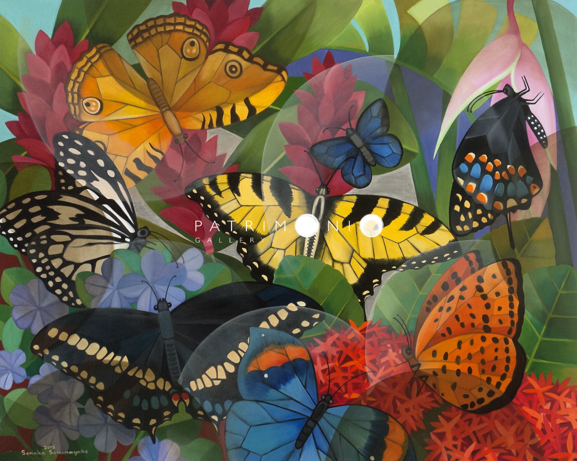 Butterfly Paradise