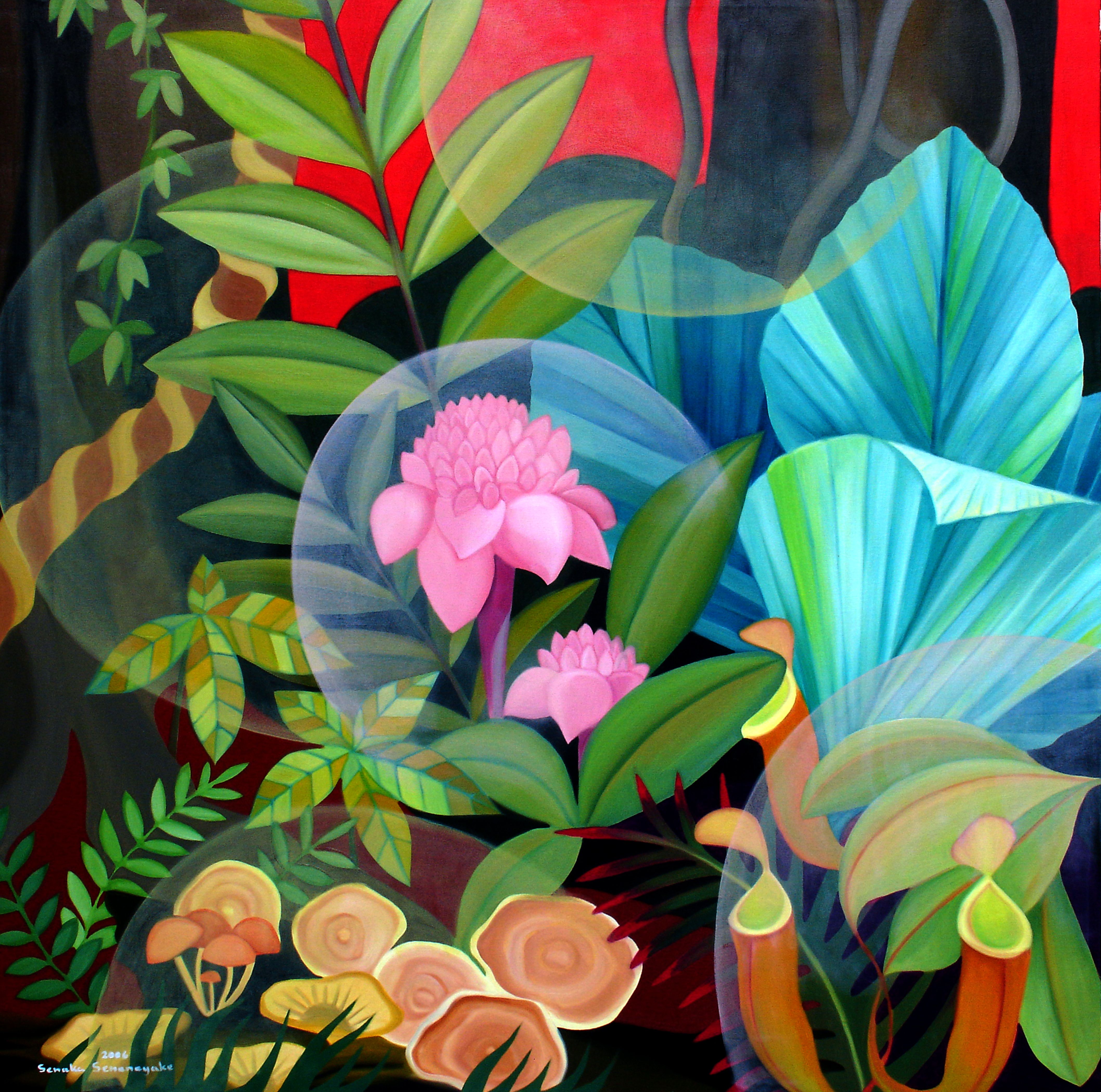 Beauty Of The Rainforest