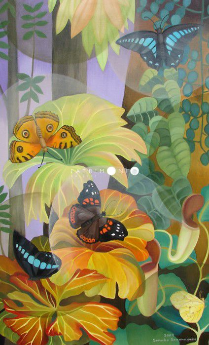 Rainforest Butterflies