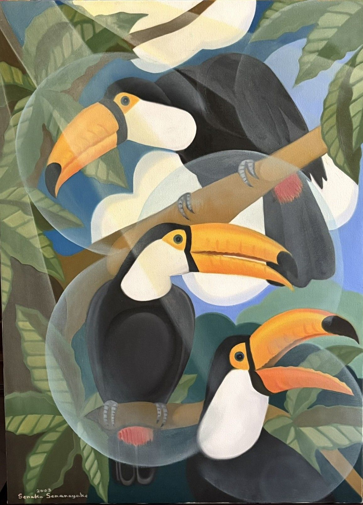 Toucans