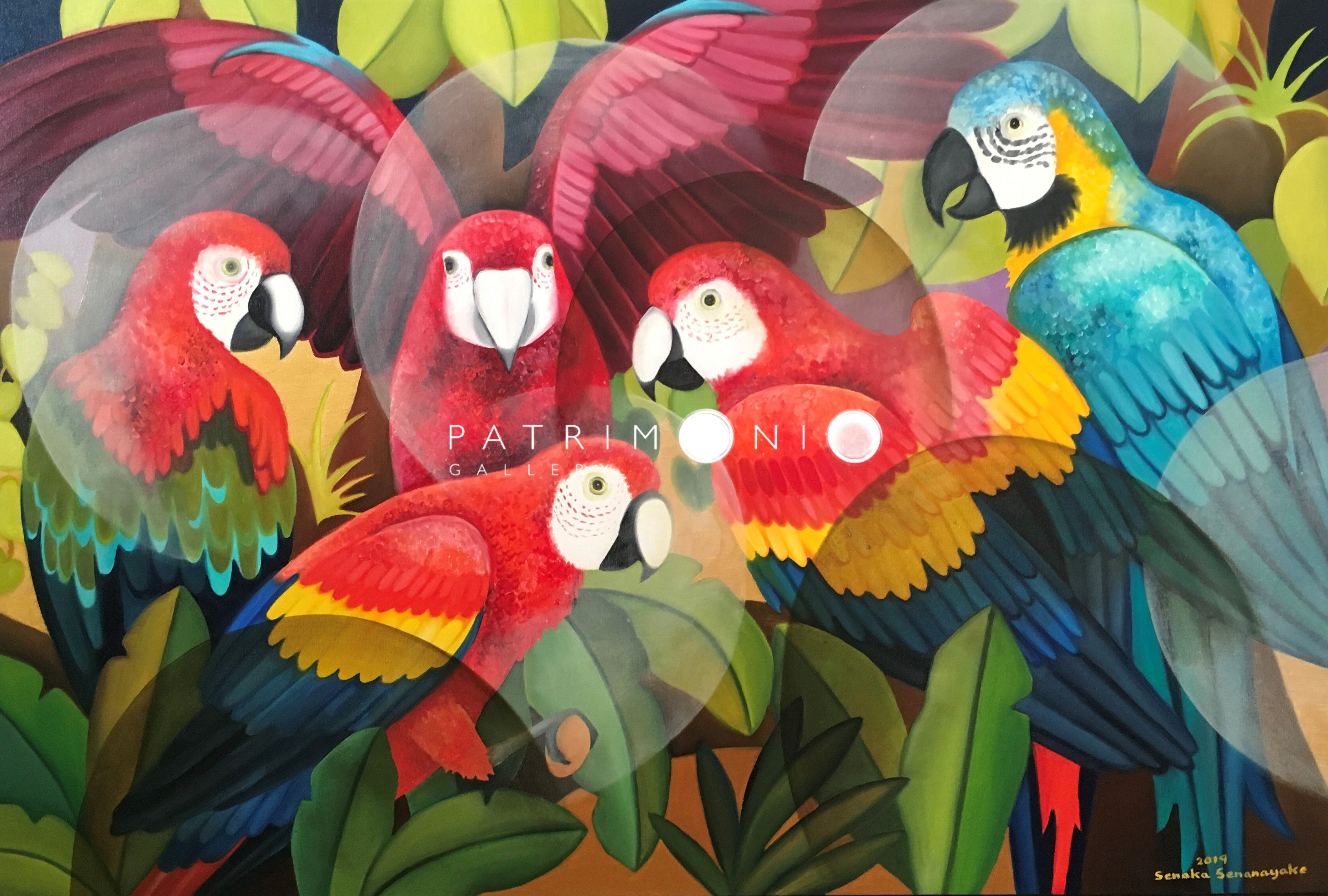 Macaws In The Enchanted Forest