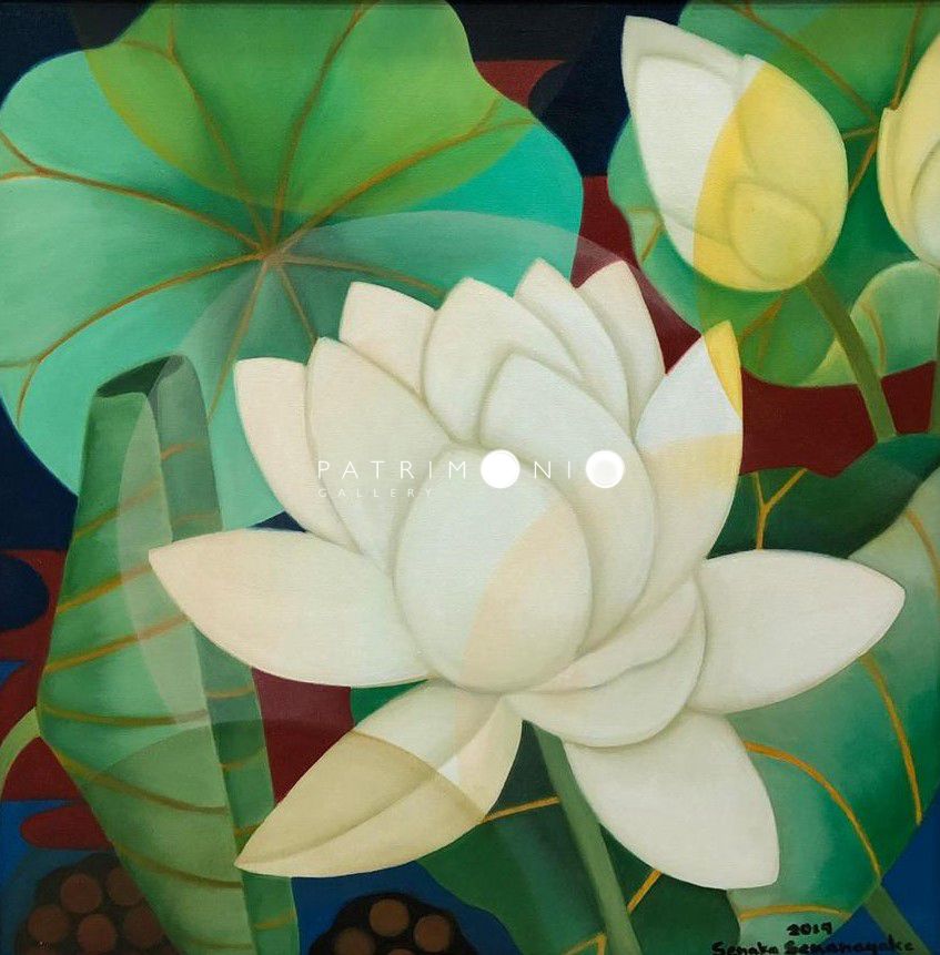 White Lotus