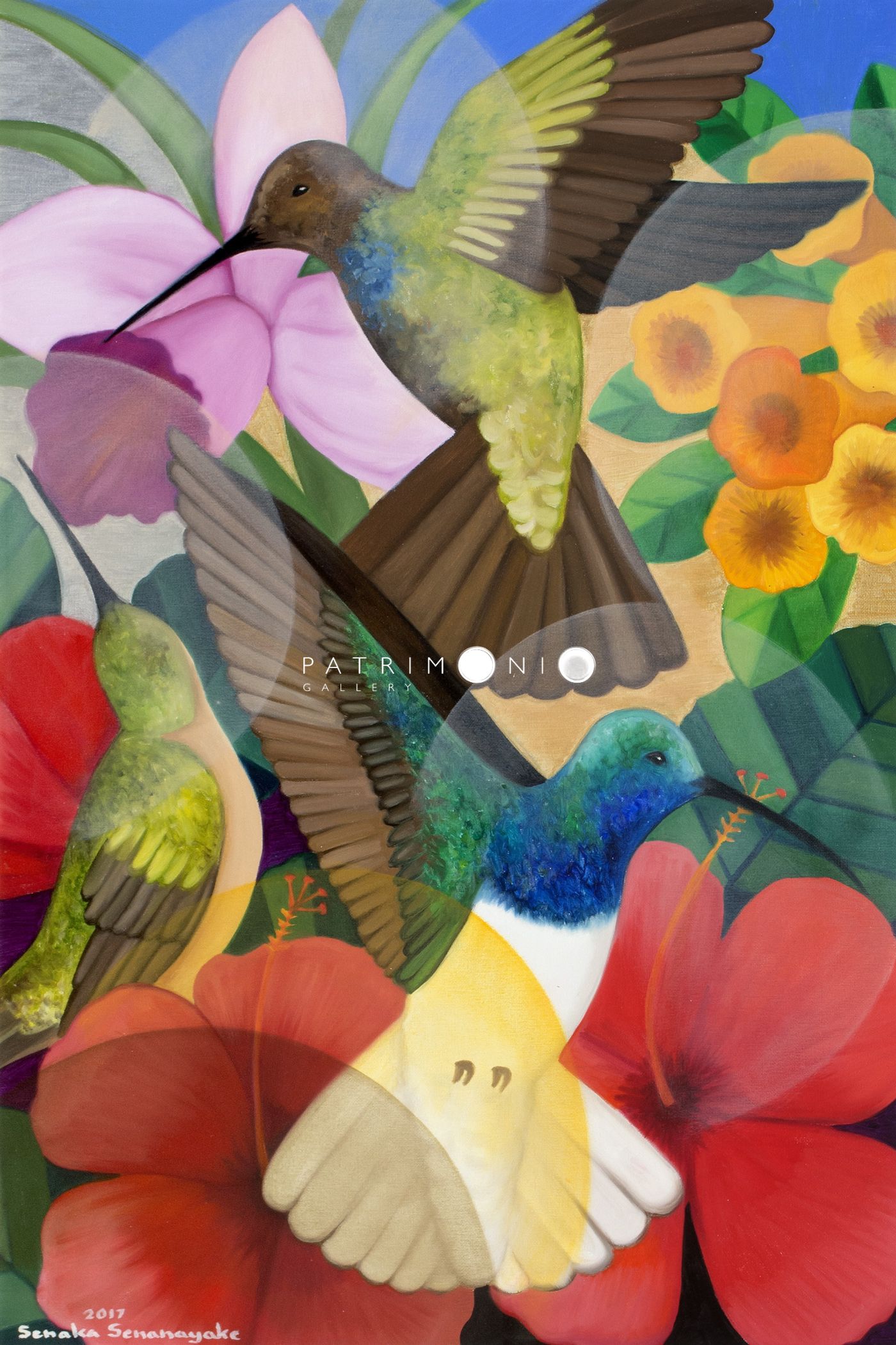 Feeding Hummingbirds