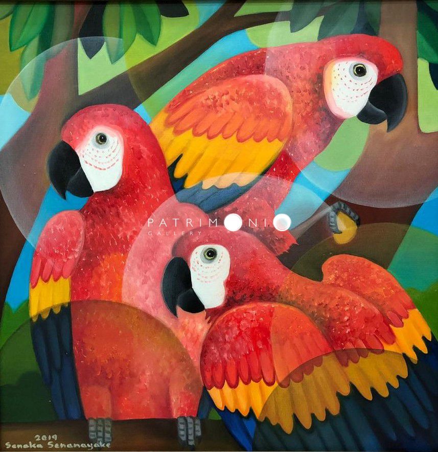 Macaws