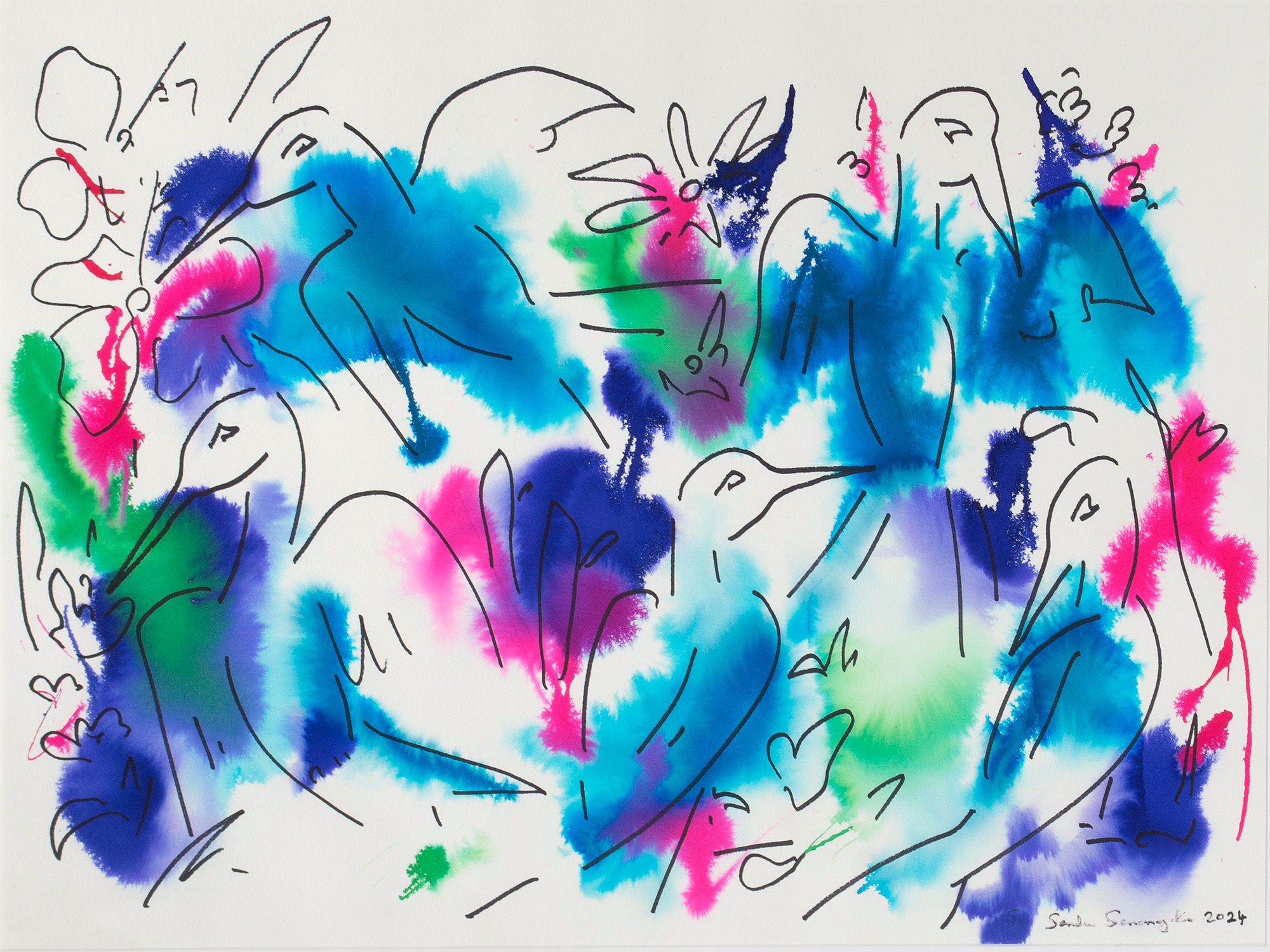 Feeding Hummingbirds