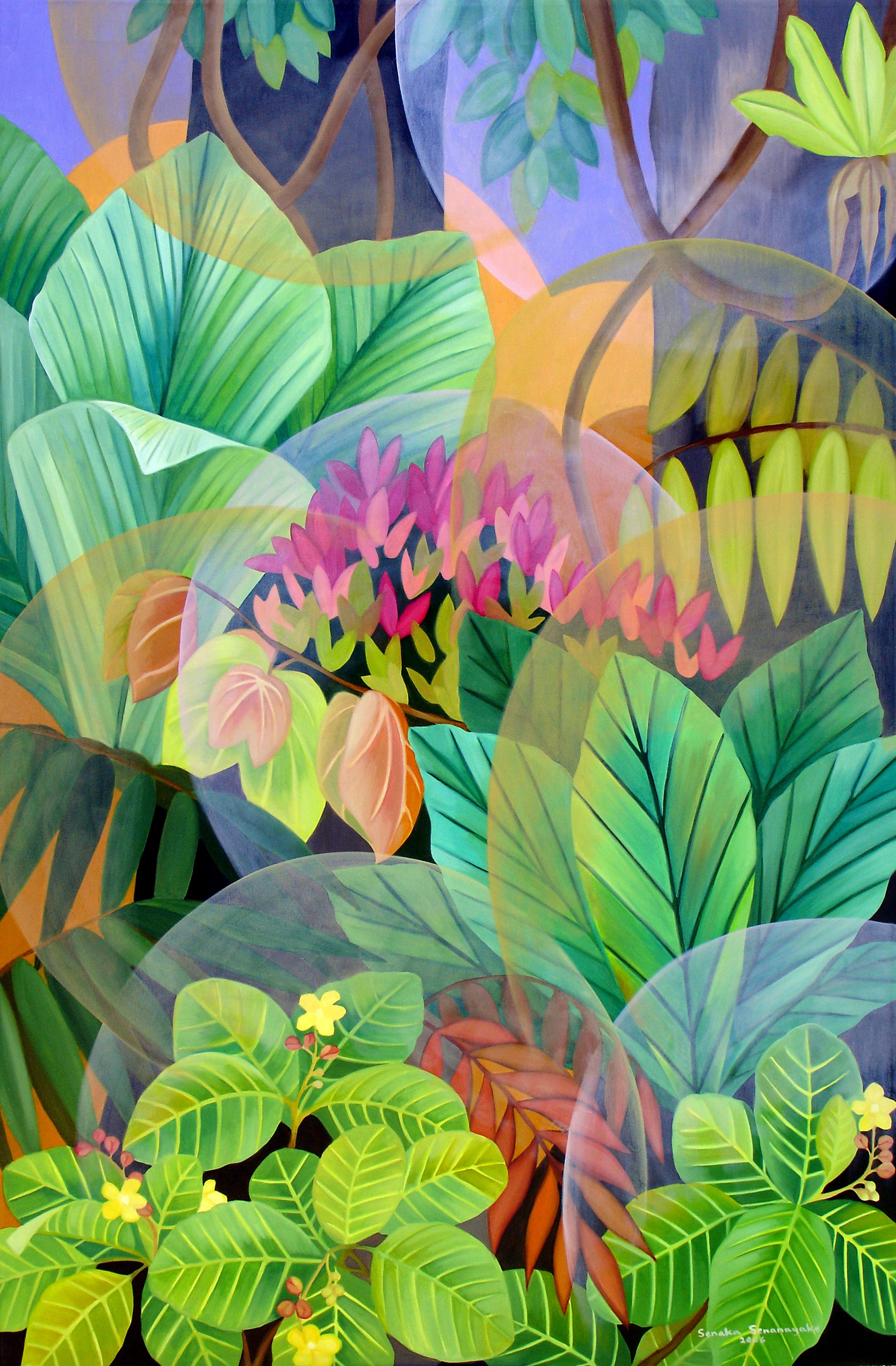 Song Of The Rainforest