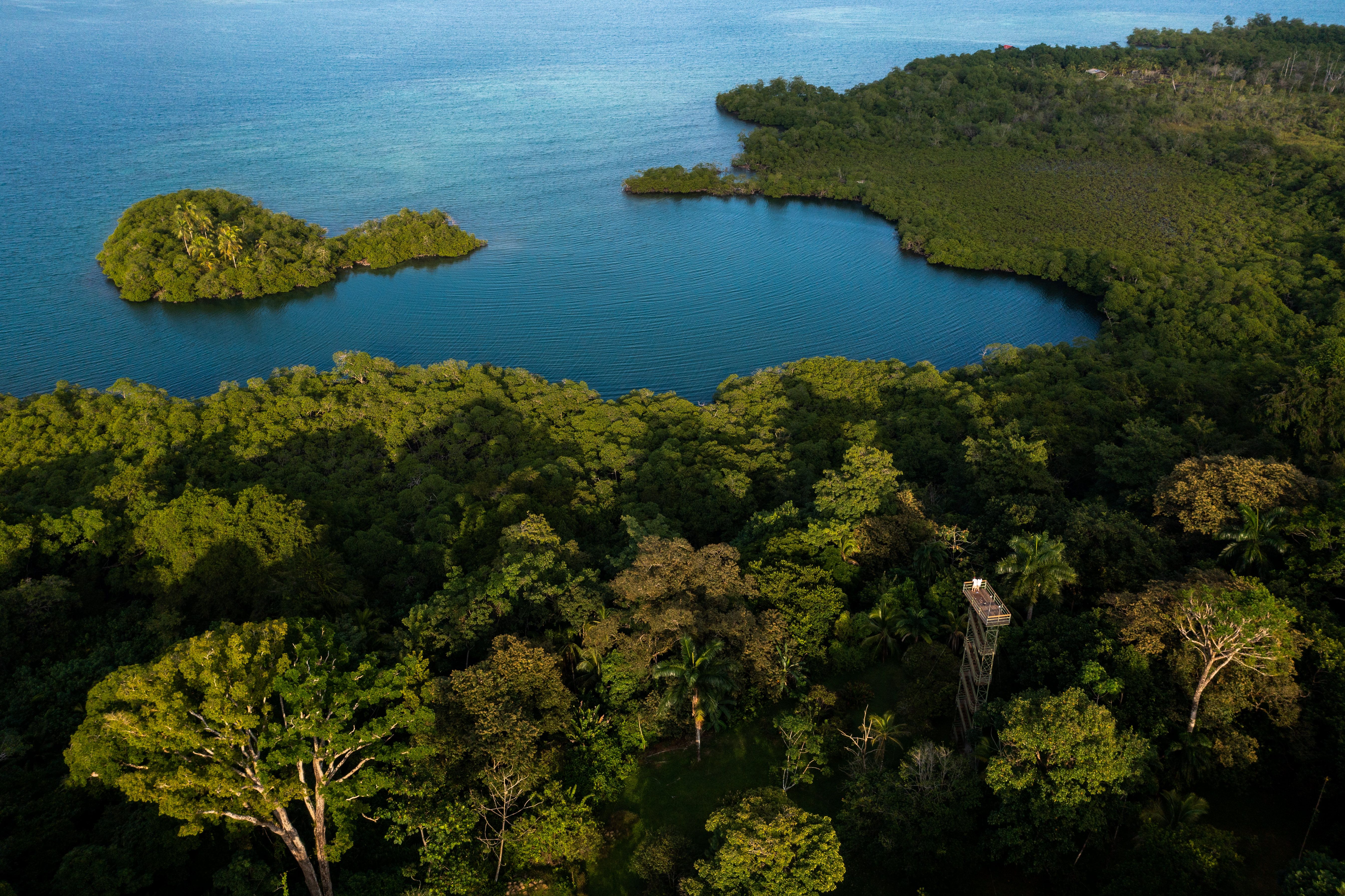 Birding Panama