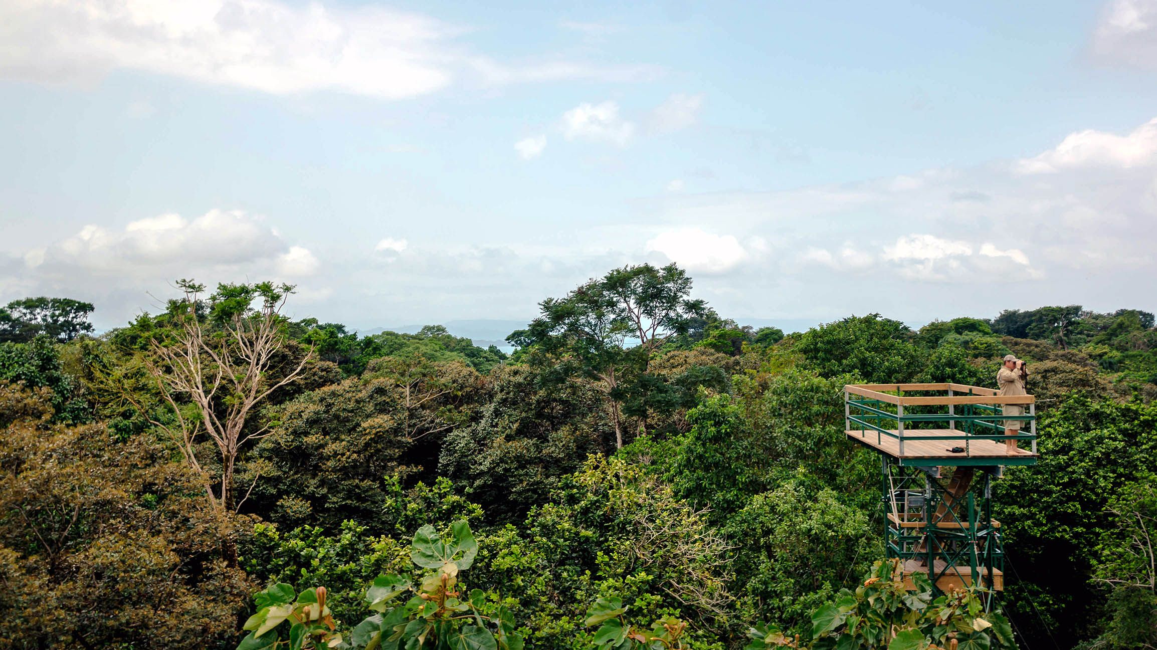 Wildlife Tours in Panama