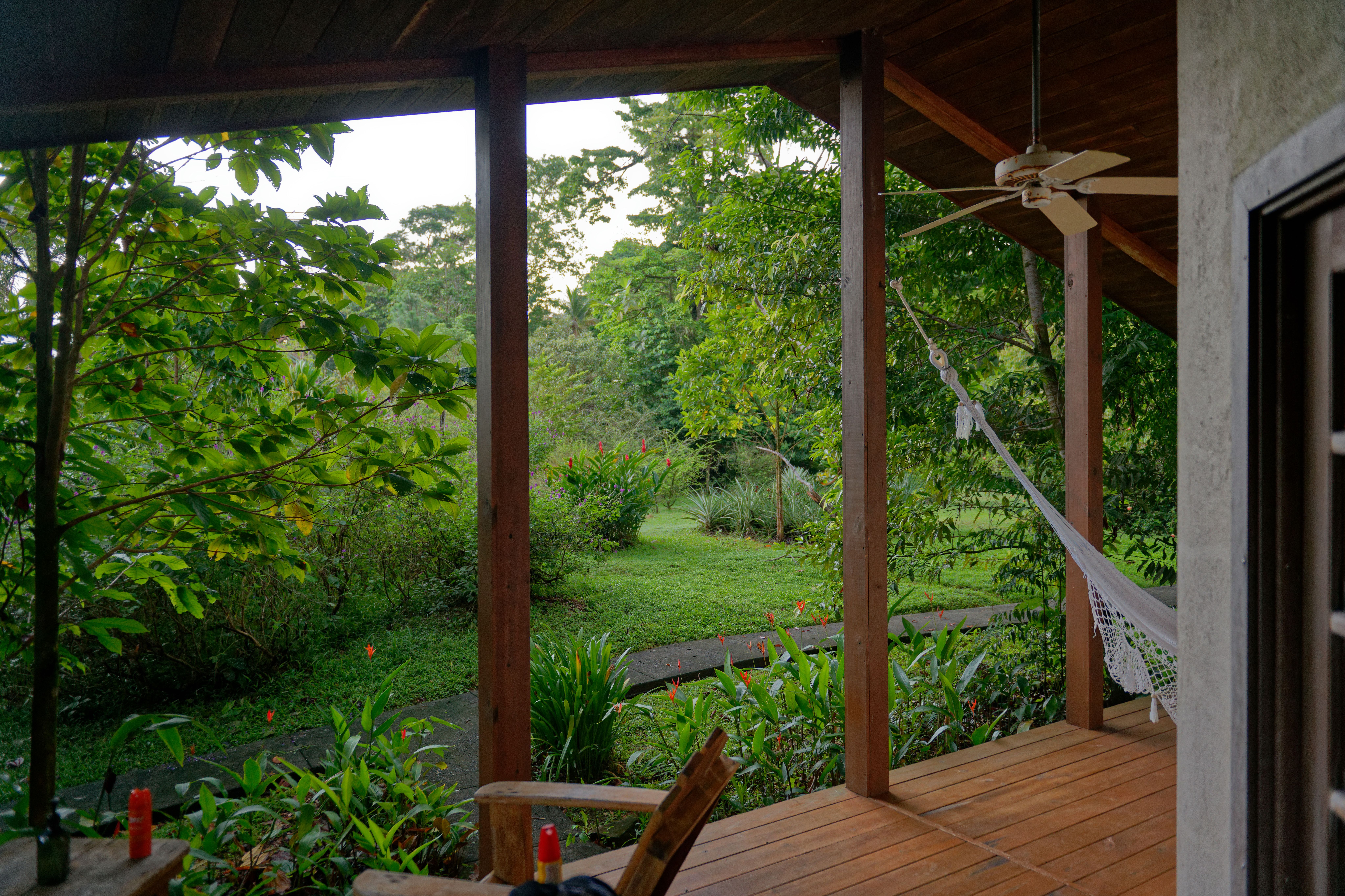 Explore the marine life of bocas del Toro