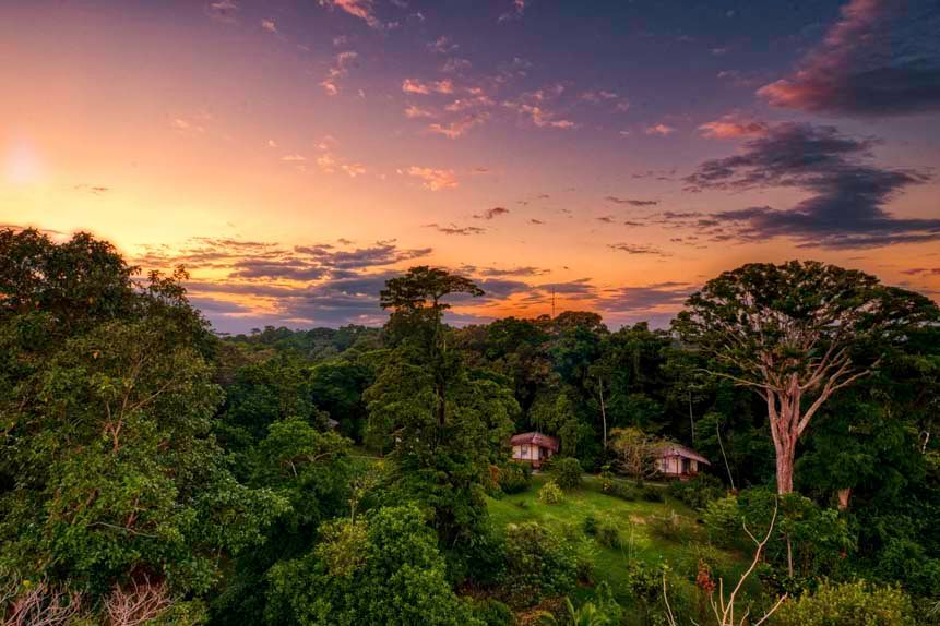 The Best Birding Accommodations in Bocas del Toro