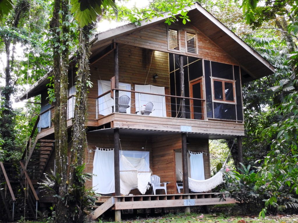 Explore the marine life of bocas del Toro