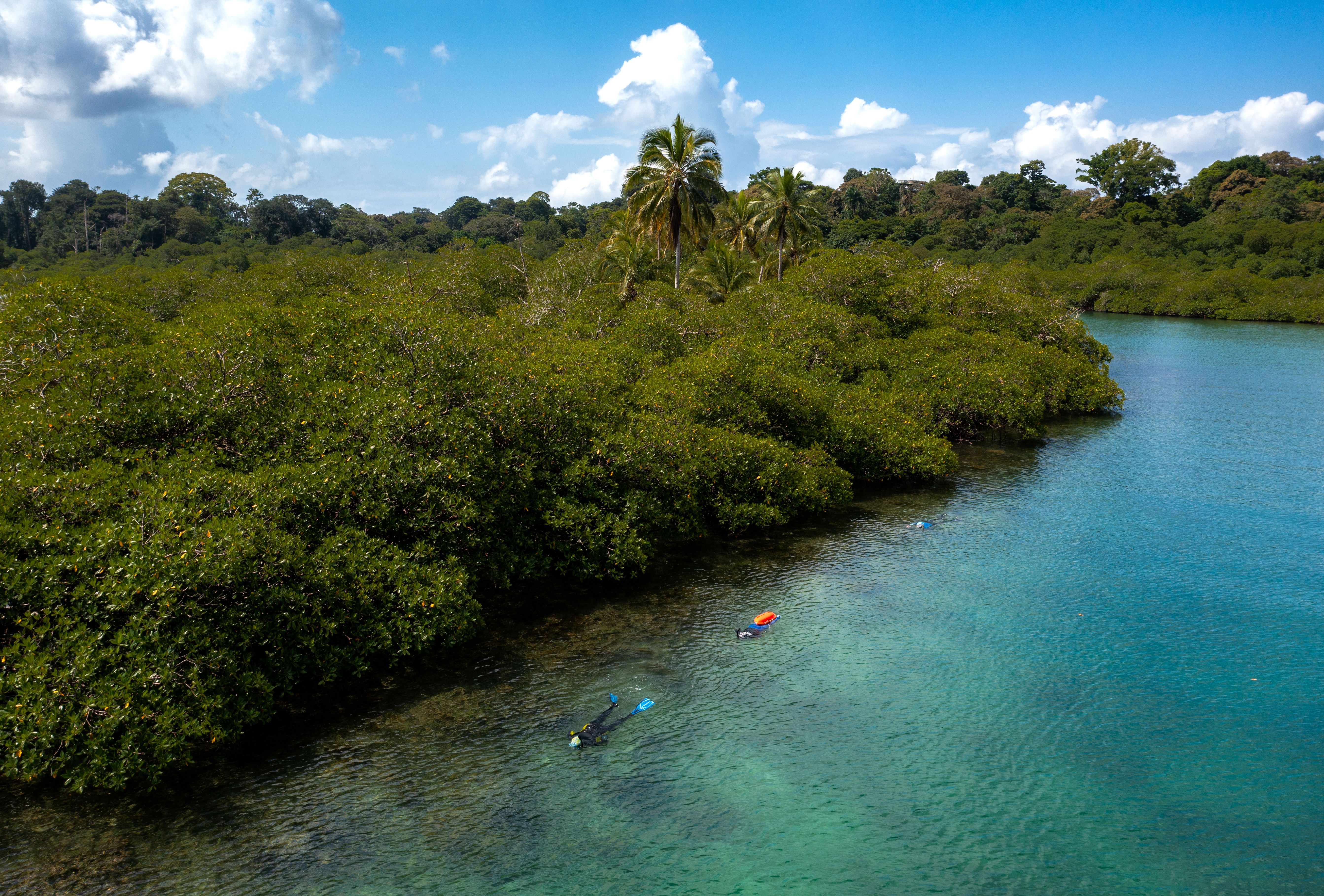 Caribbean Snorkeling