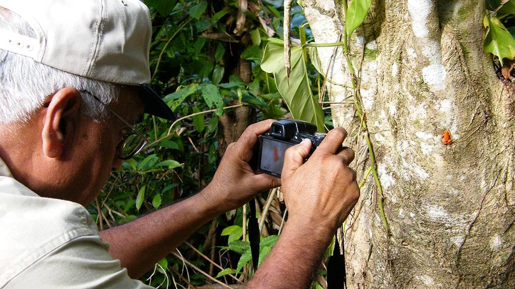 Guest photographing a poison dart frog in Bocas del Toro.