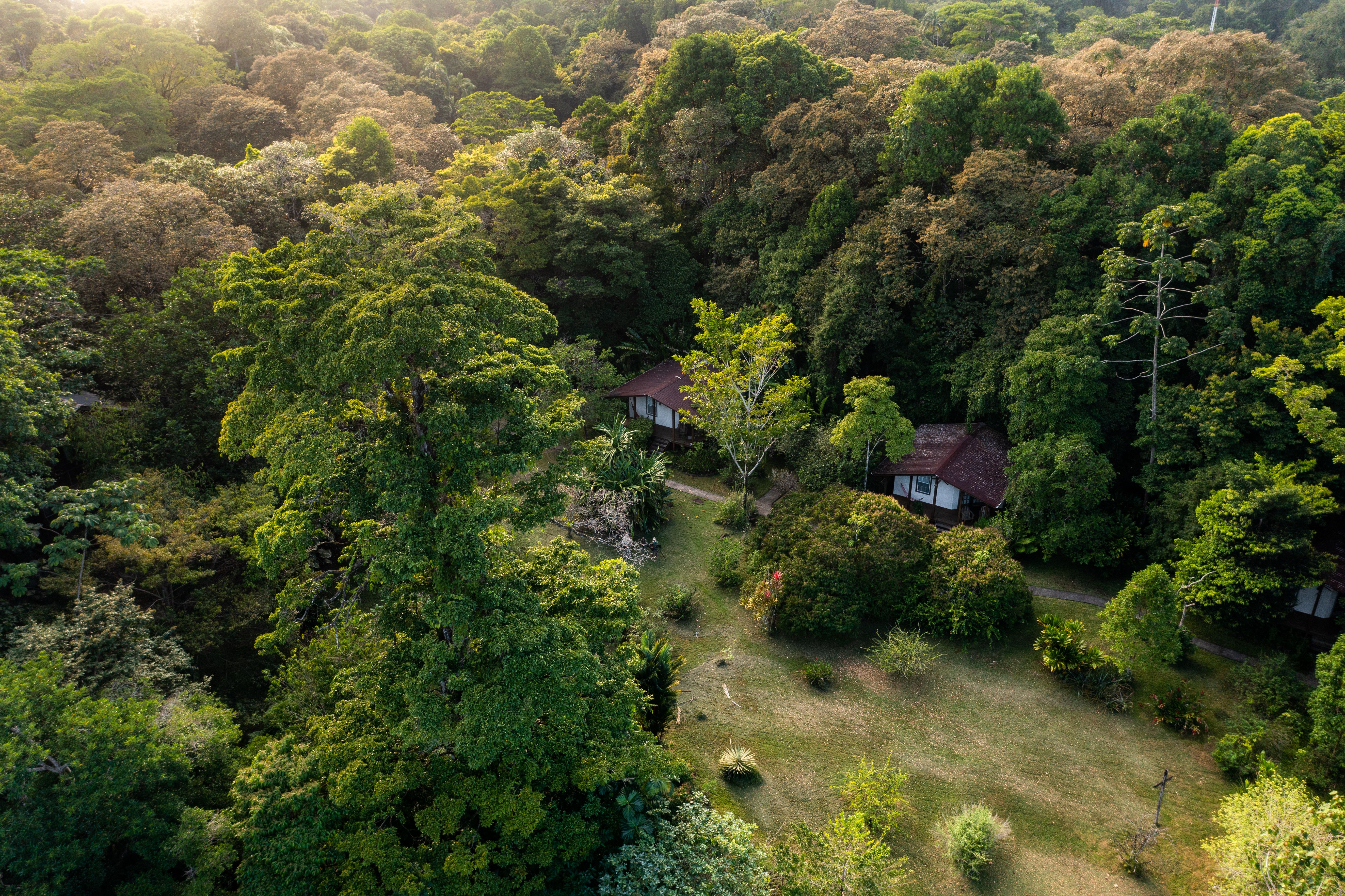 Wildlife Tours in Panama