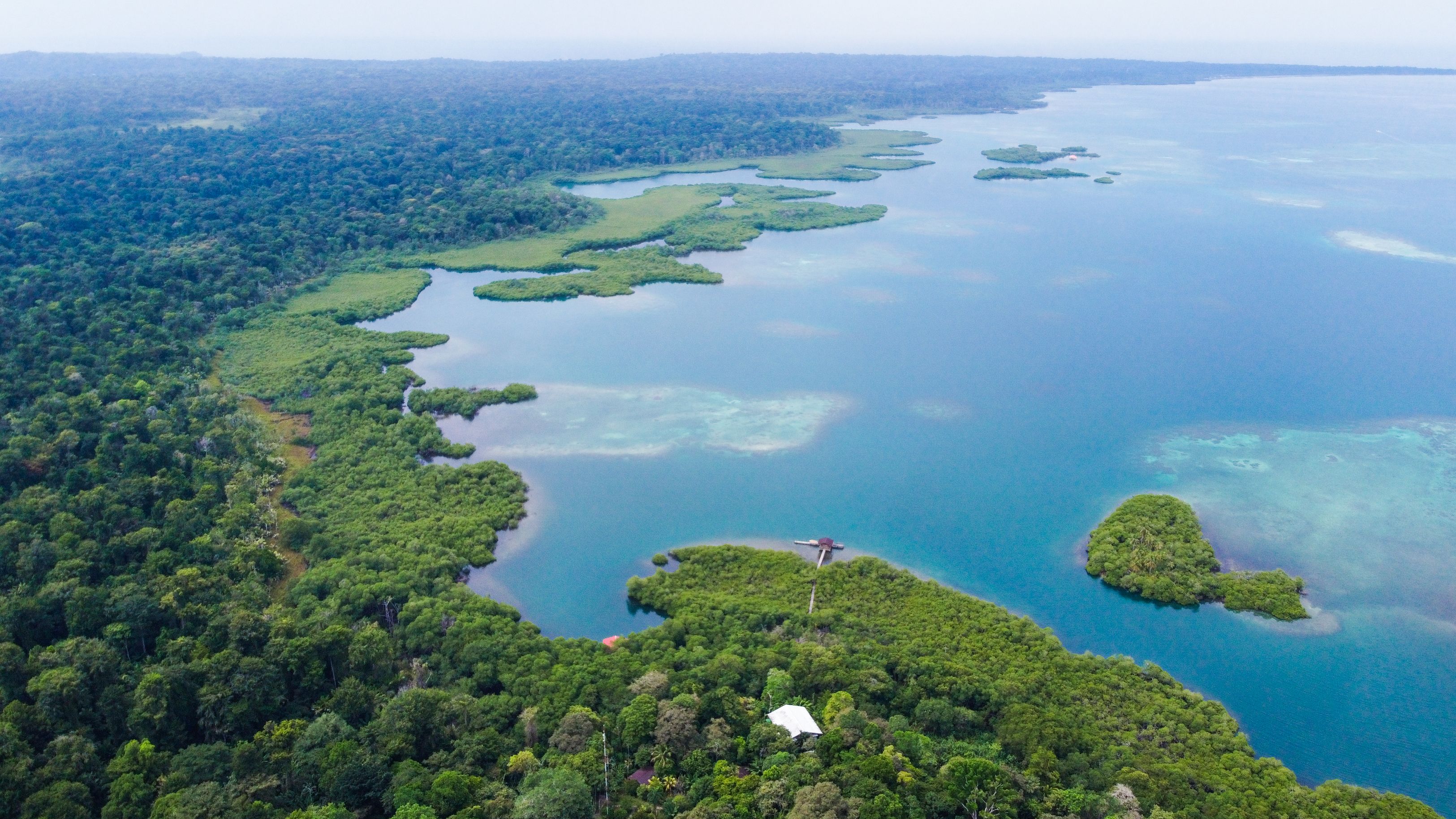 Canopy Observation Tower Bird List