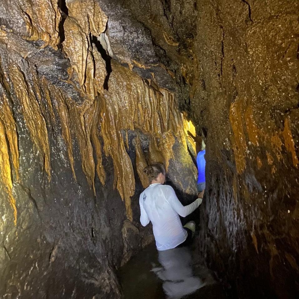 Natural History Tour in Bat Cave