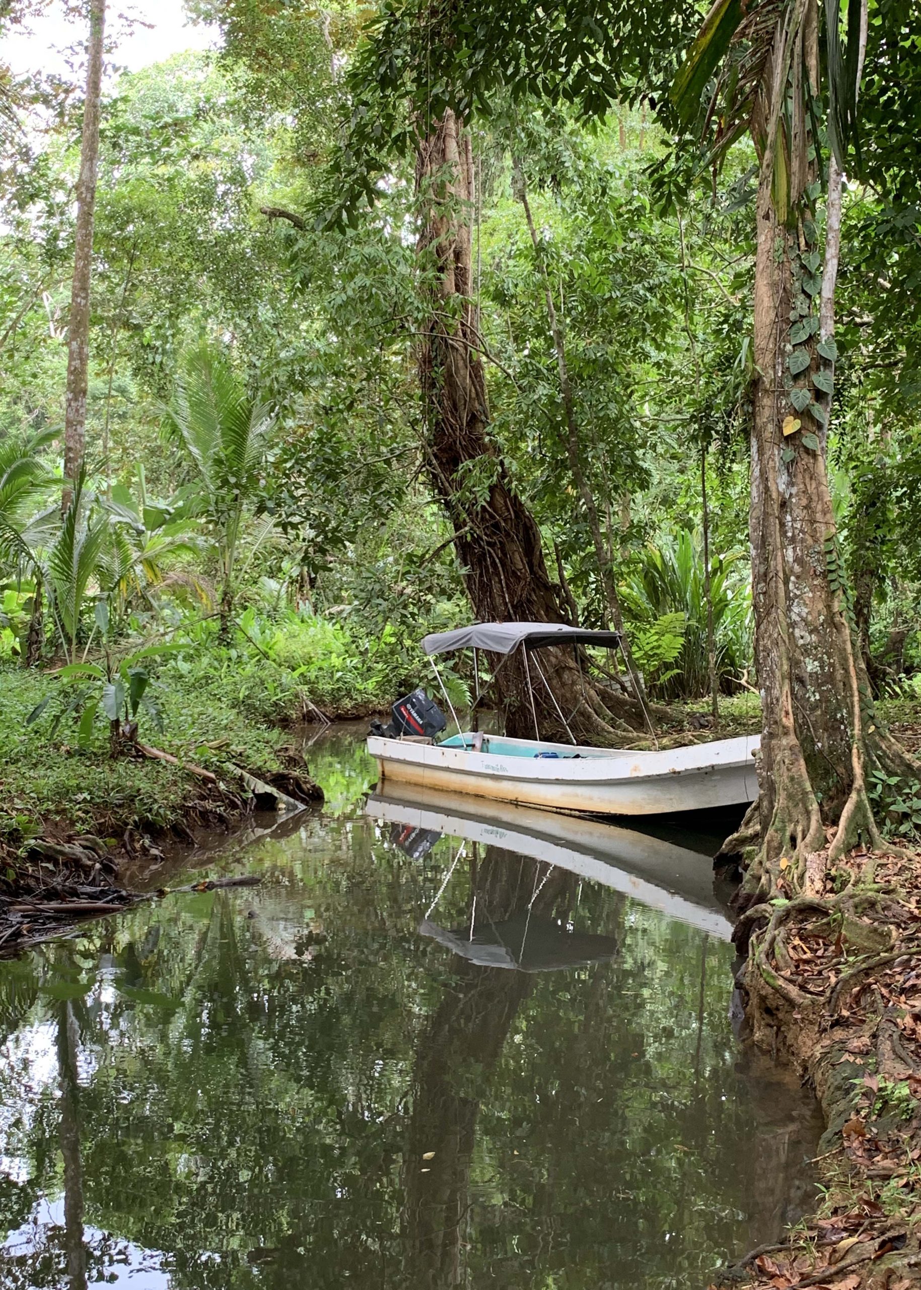 Secluded ecological trail on Isla Popa, Bocas del Toro, Panama