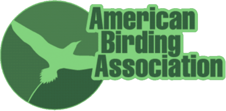 american-association