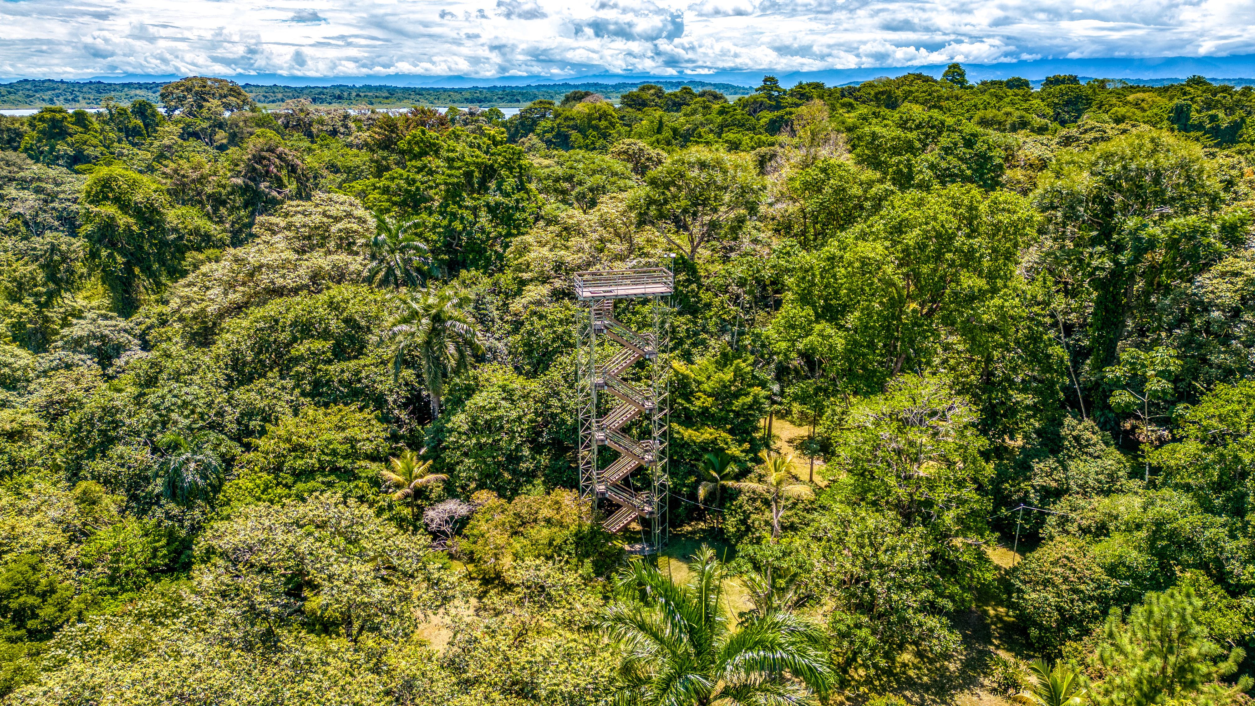 Canopy Observation Tower Bird List