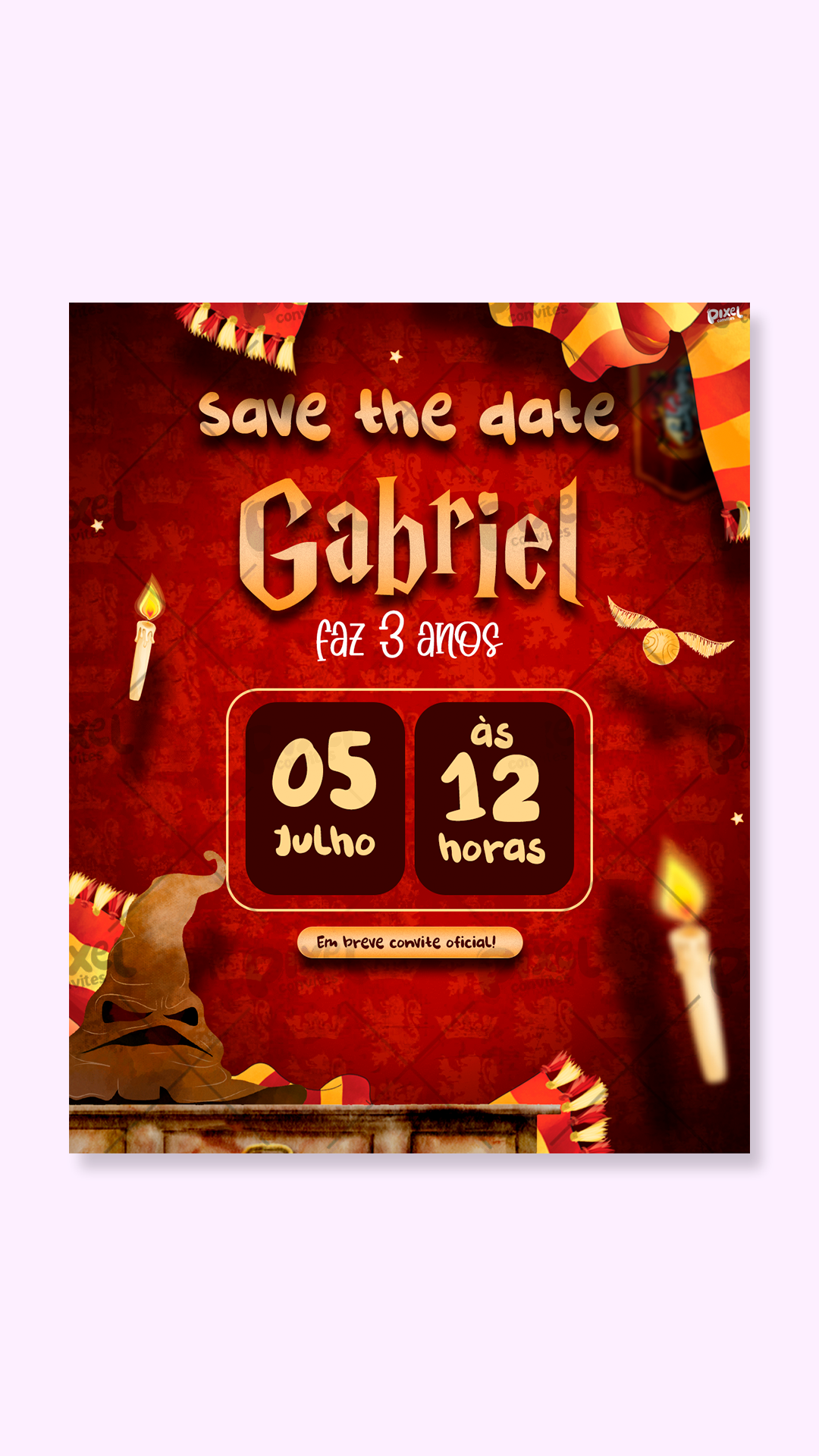 Save The Date Harry Potter O Escolhido de Grifinória
