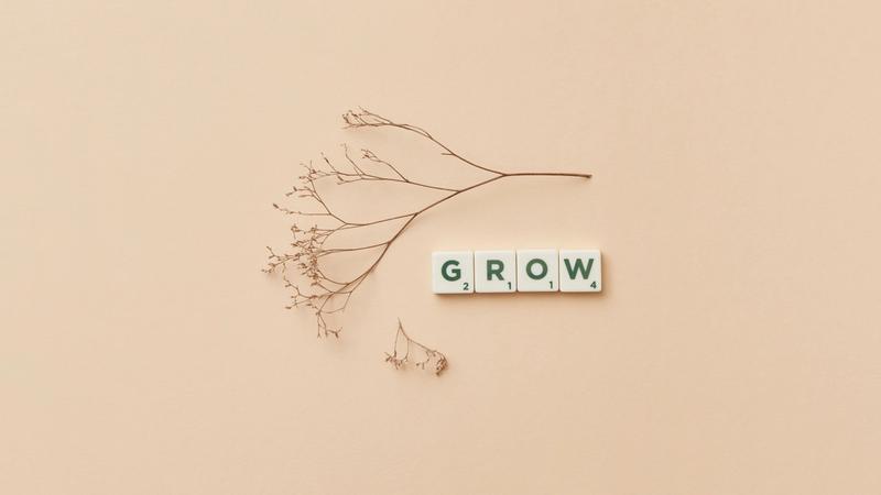 Outgrow branch