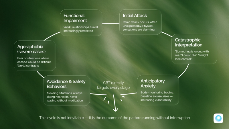 The Panic Disorder Cycle