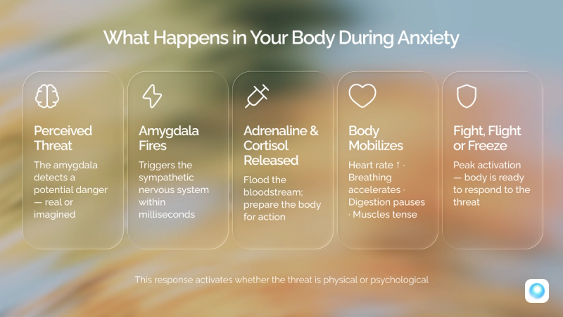 Infographic "Fight-or-flight response cascade" — 5 steps from threat perception to physical response.