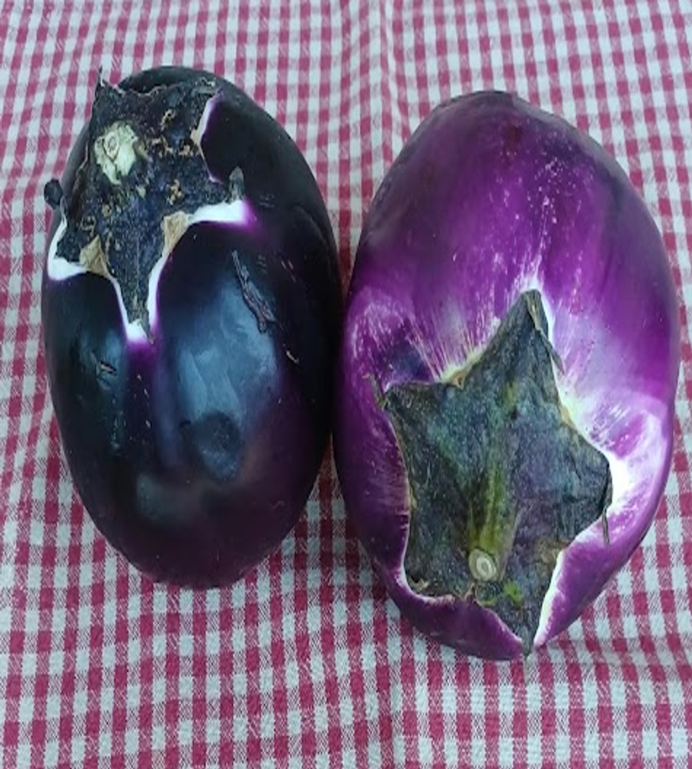 Cotolette di melanzane, foto 2