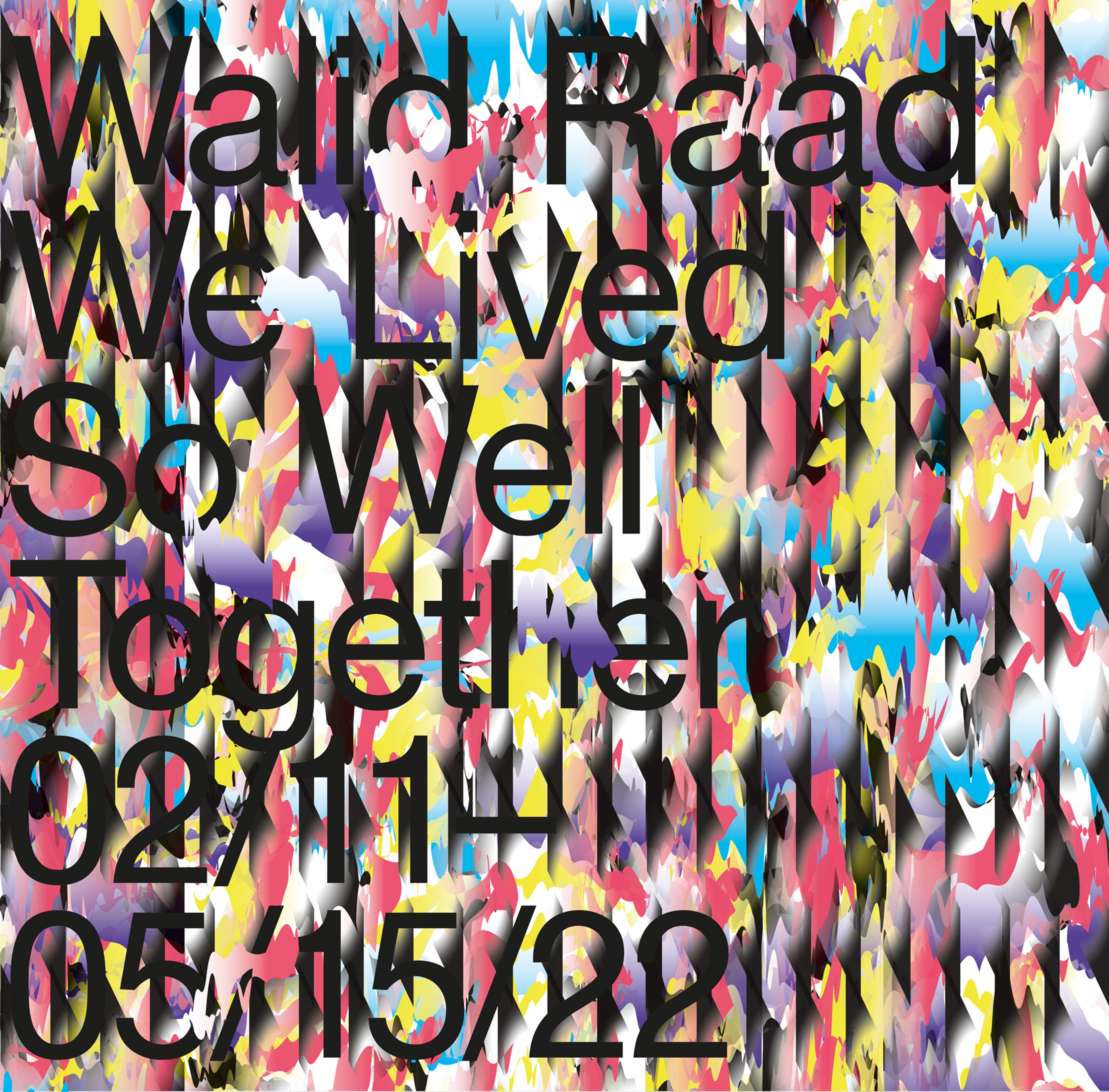 Walid Raad – We Lived So Well Together - Ausstellungsansicht