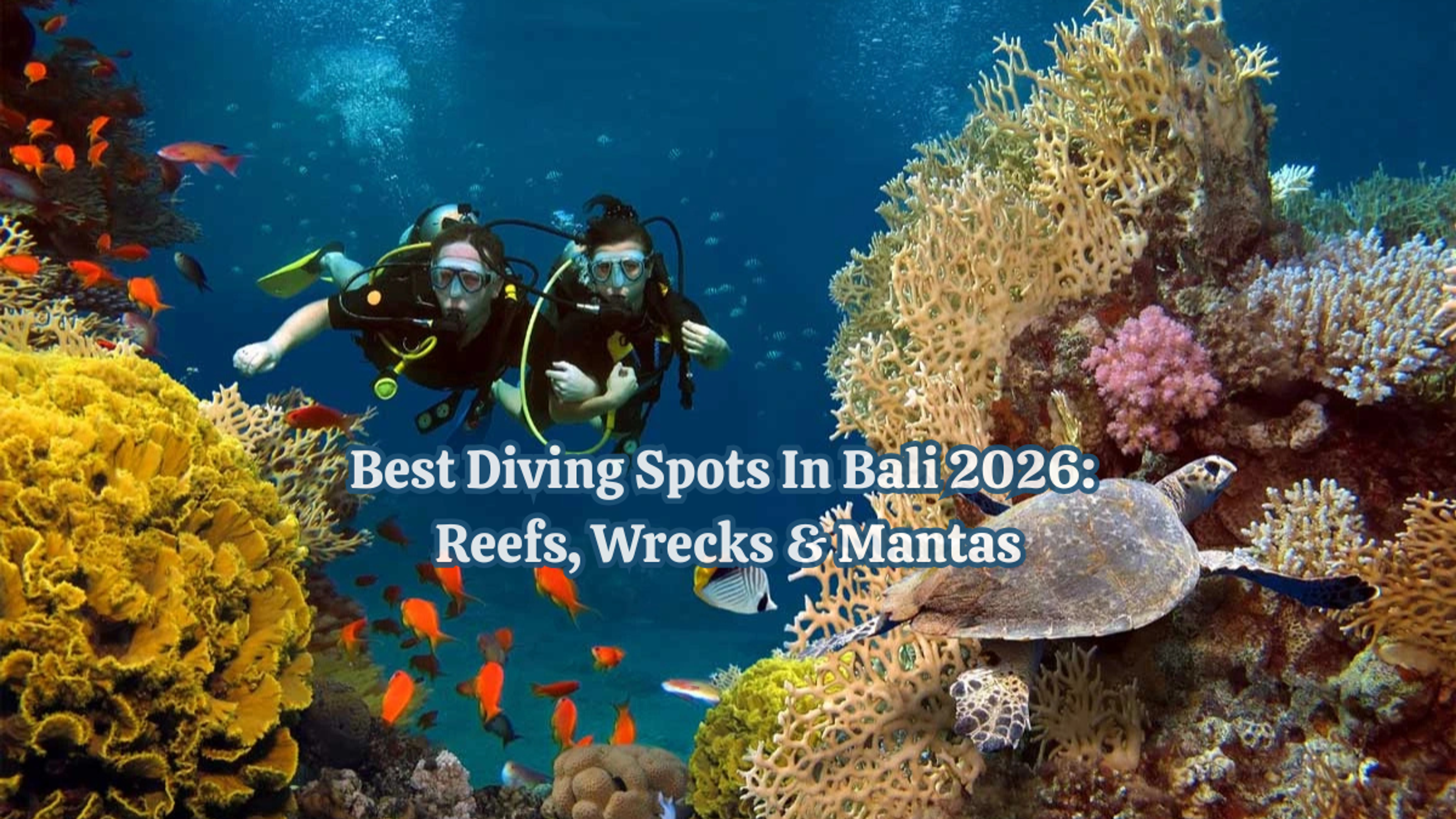 Best Diving Spots in Bali 2026: Reefs, Wrecks & Mantas