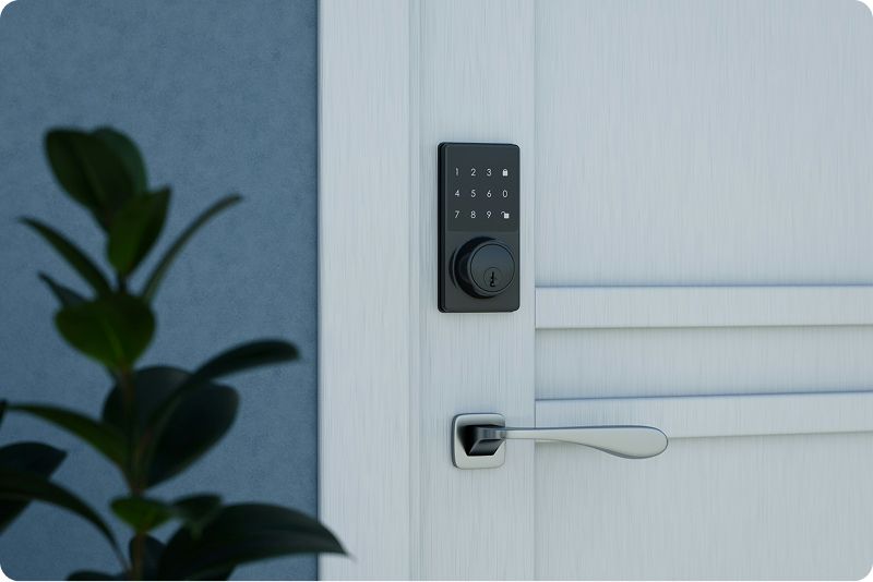 Door security