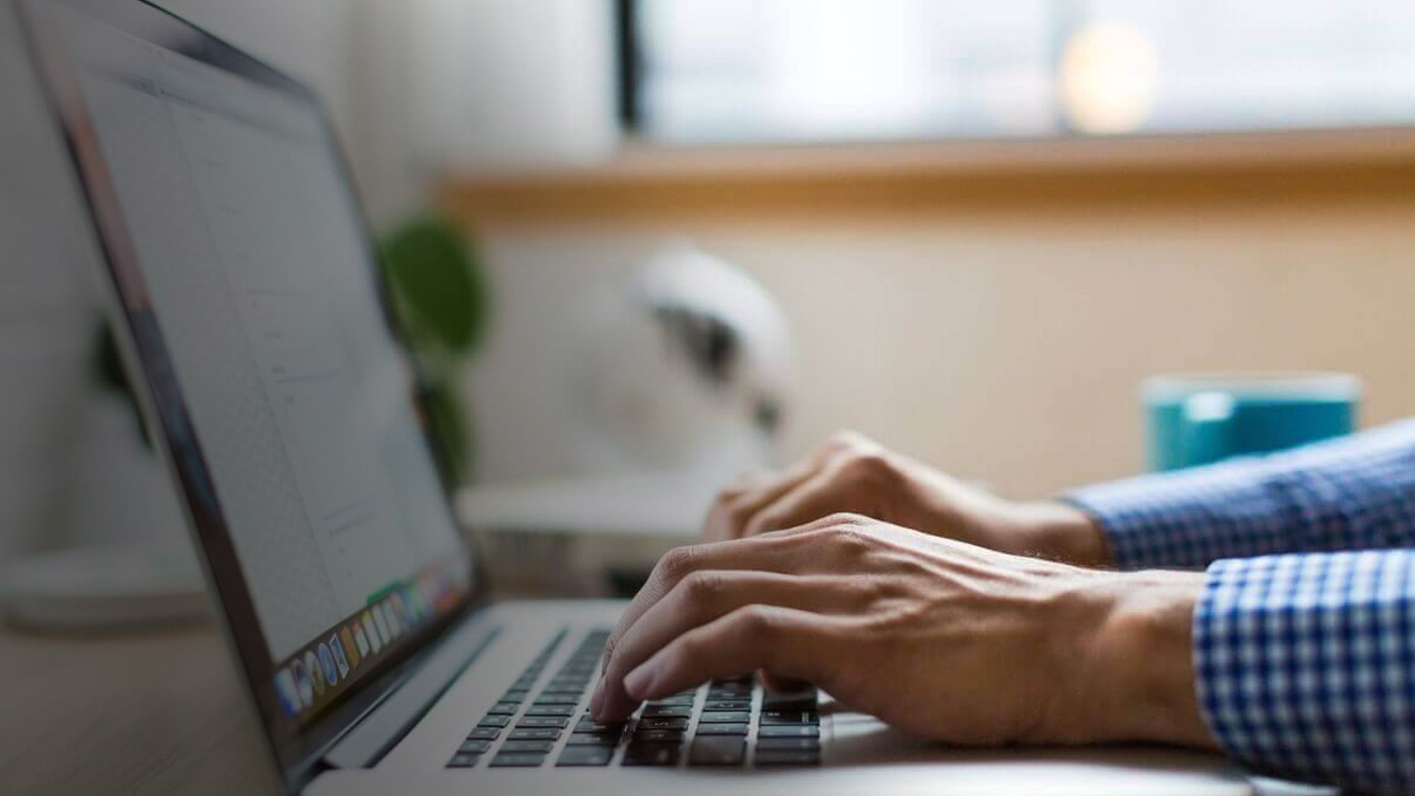 Person with Laptop