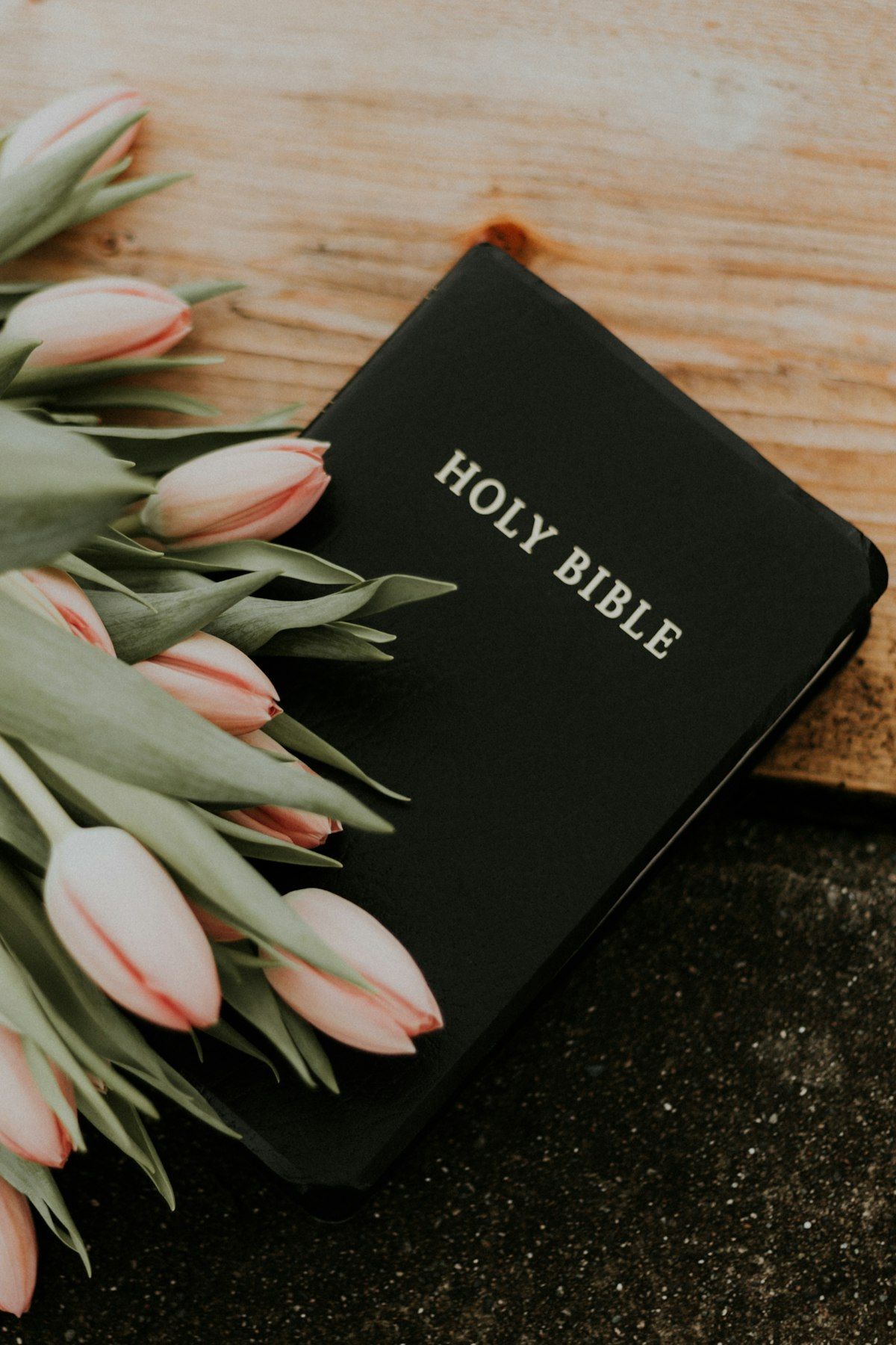 Devotionals & Faith