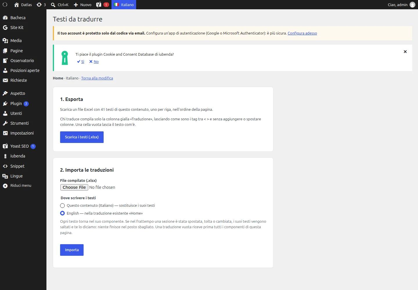 Schermata Testi da tradurre con esportazione del file Excel e importazione delle traduzioni