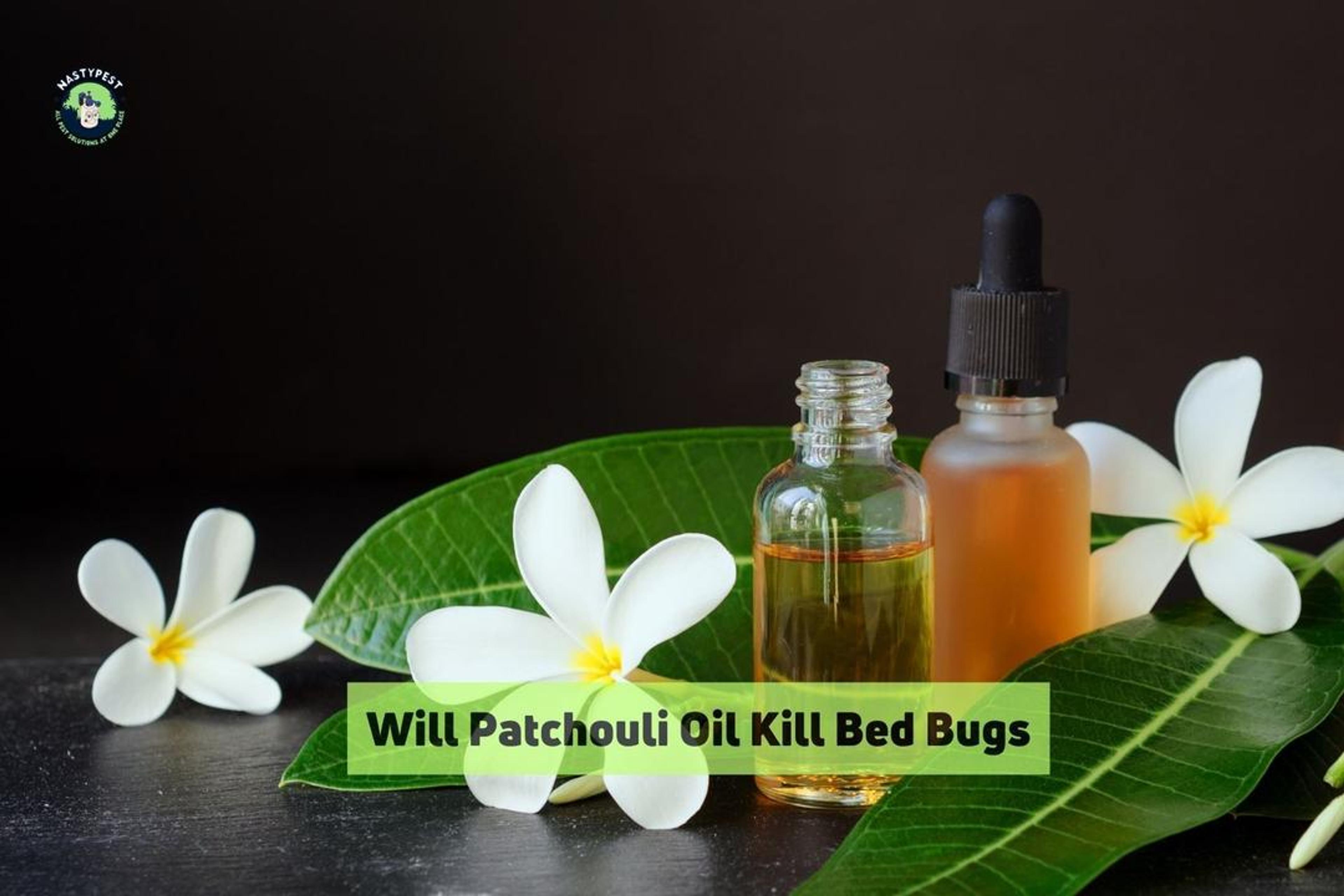 Will Patchouli Oil Kill Bed Bugs?