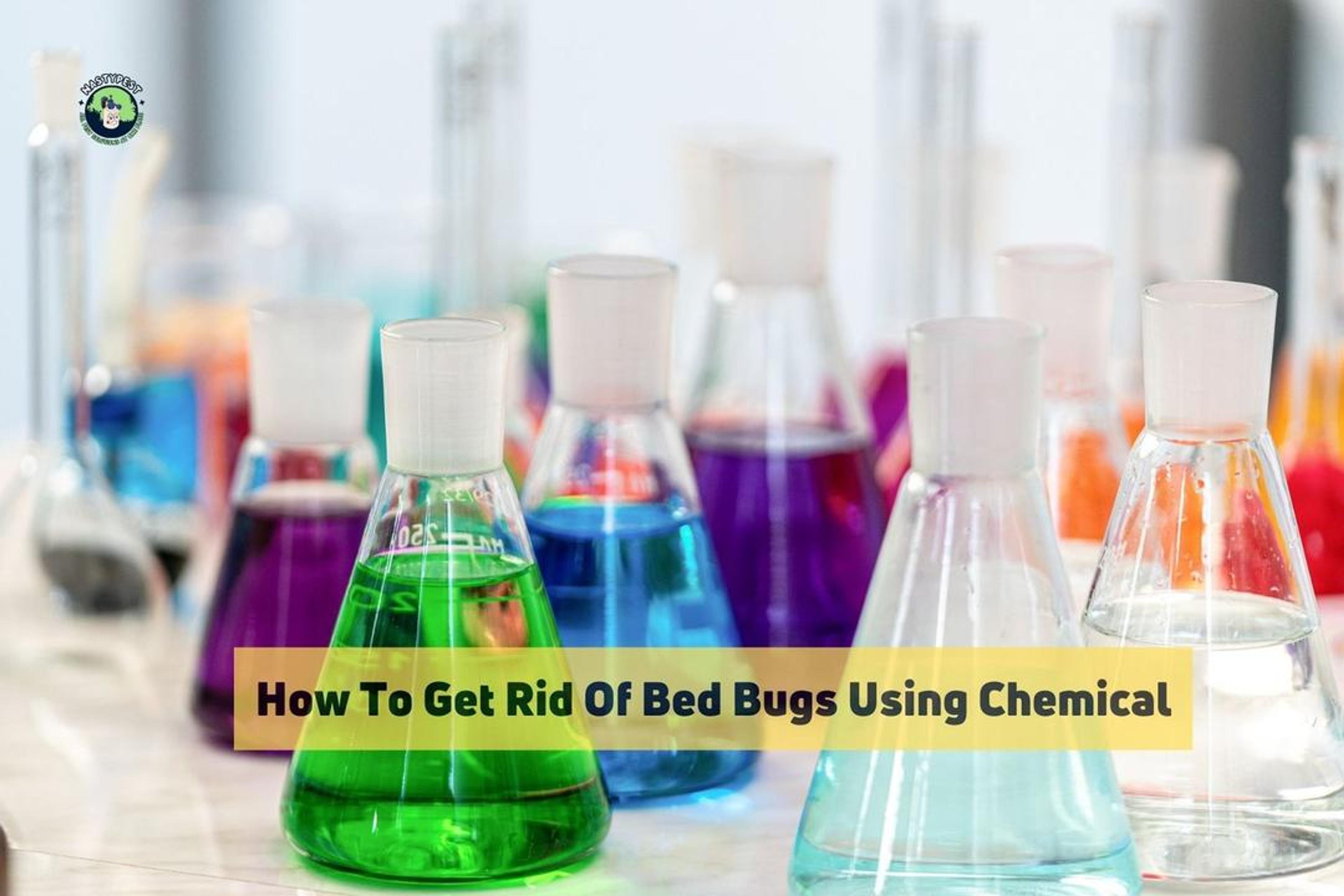 How to Get Rid of Bed Bugs Using Chemical 