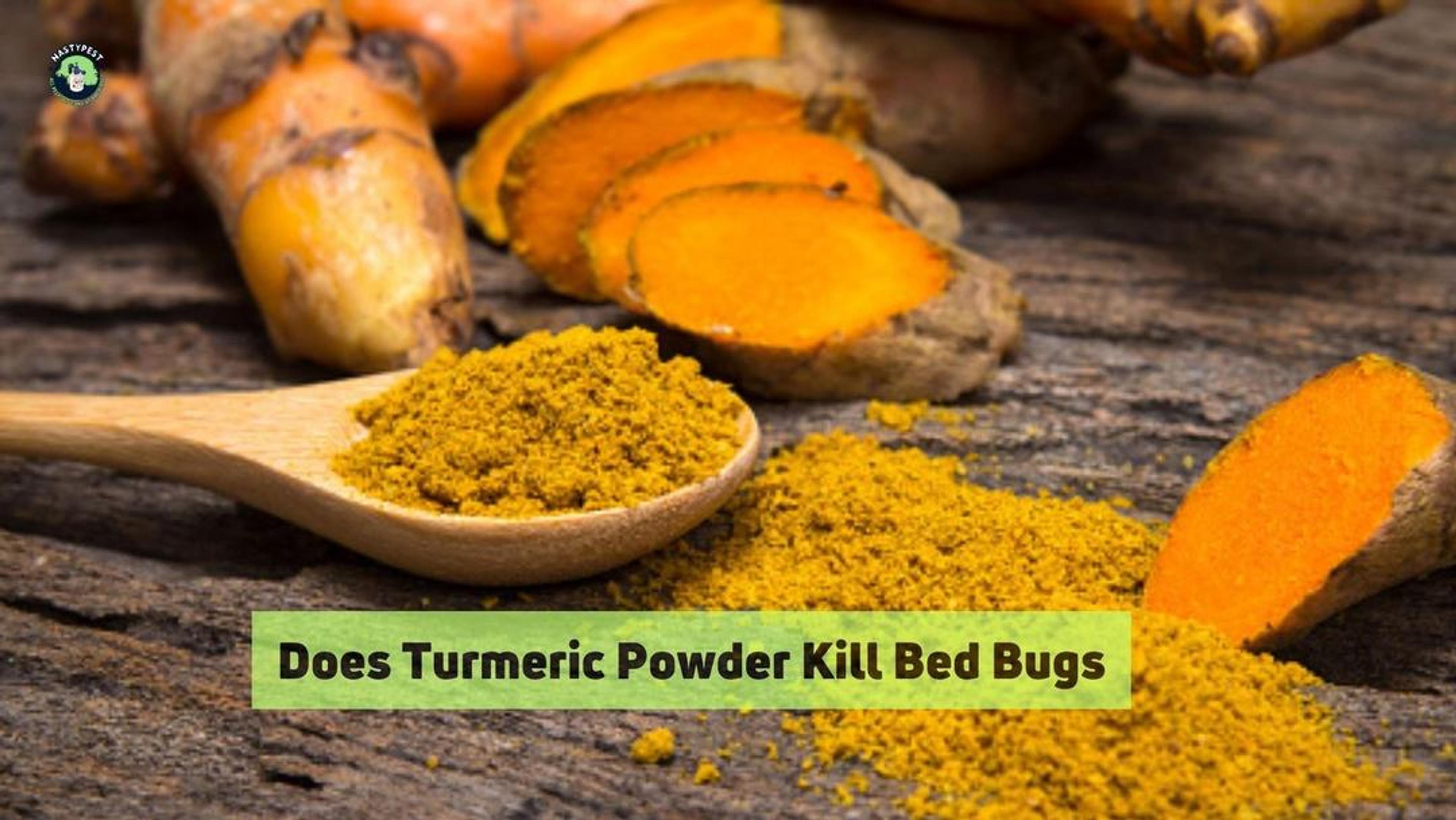 Does Turmeric Powder Kill Bed Bugs