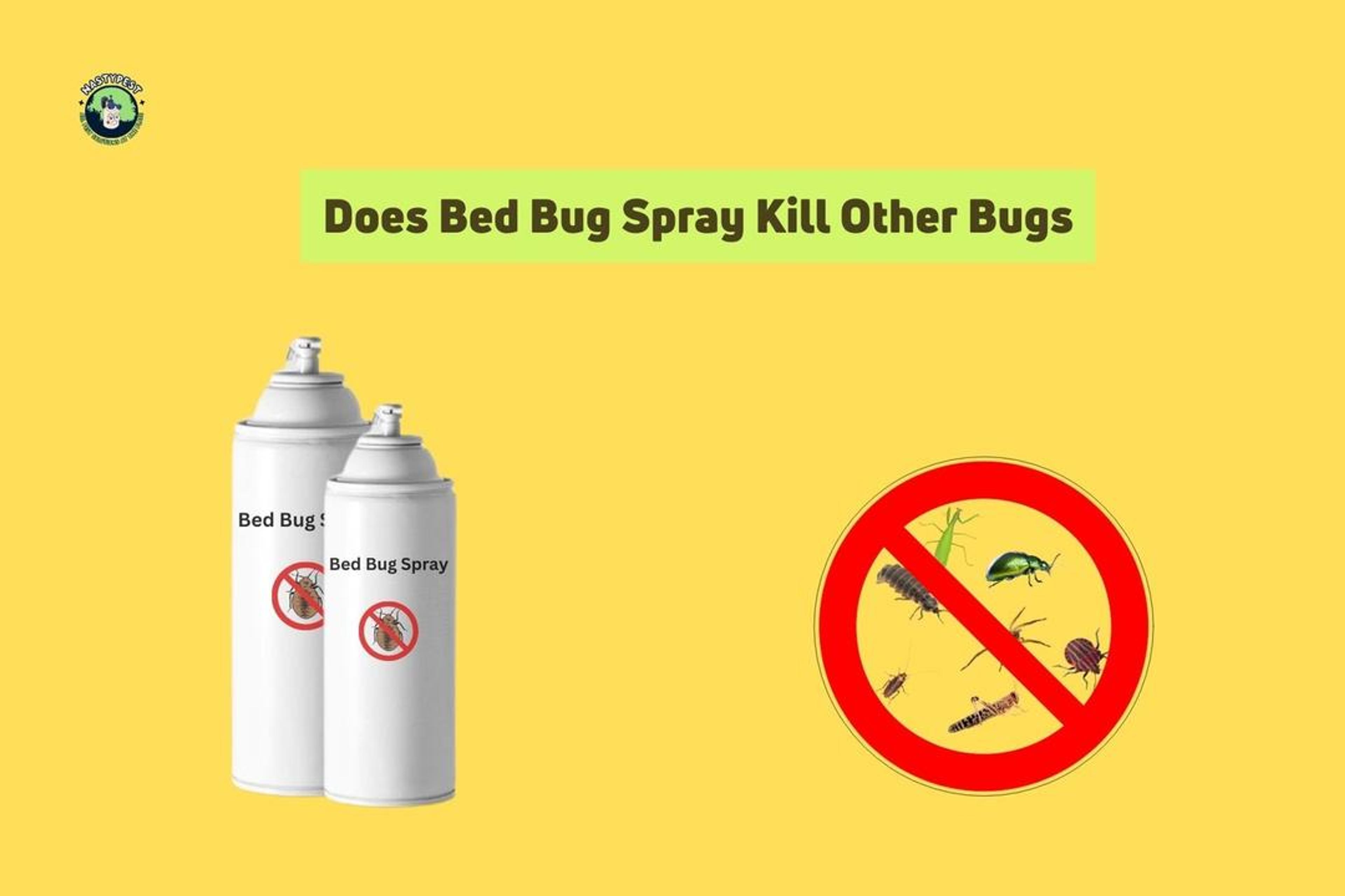 Does Bed Bug Spray Kill Other Bugs