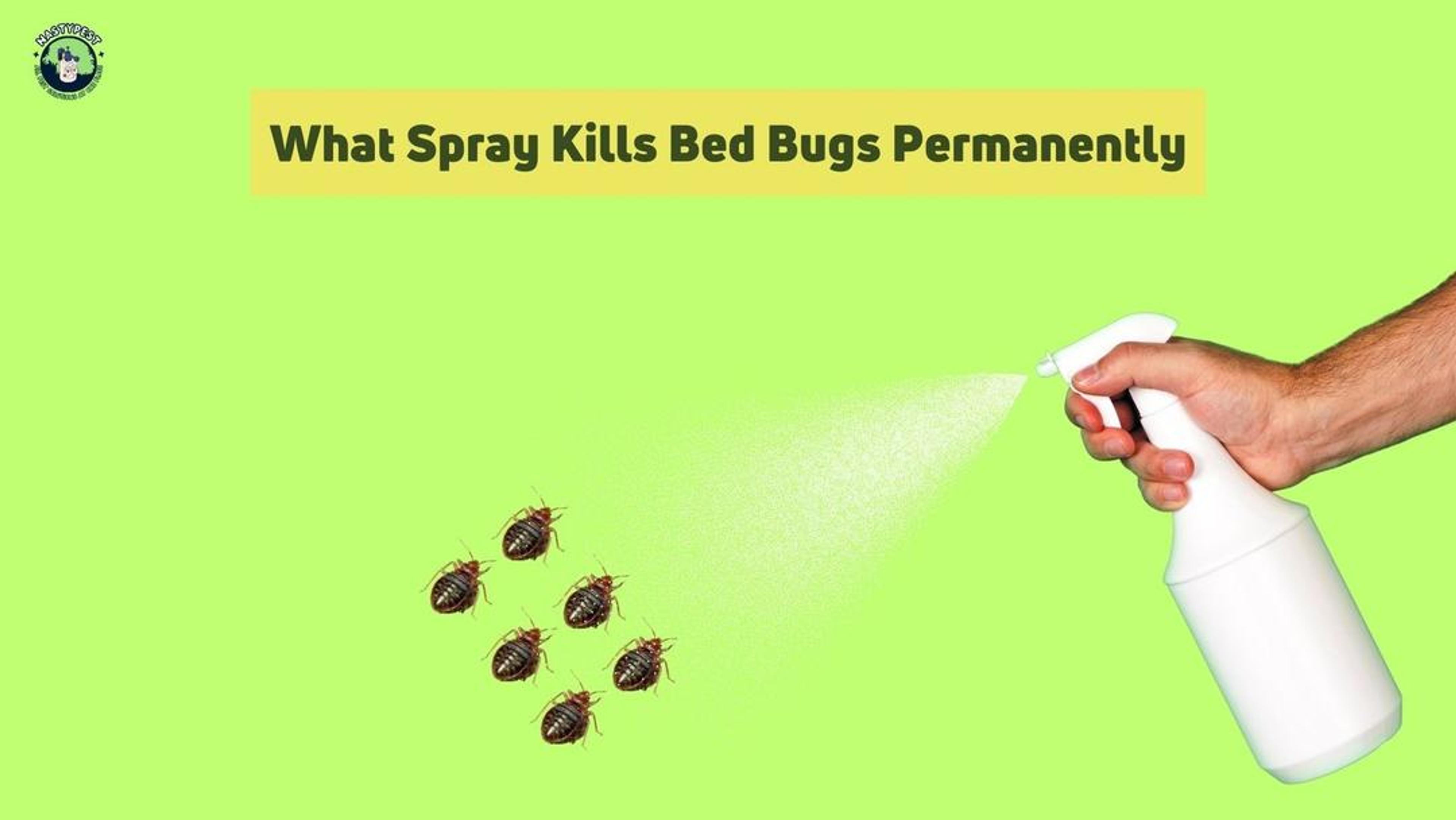 What Spray Kills Bed Bugs Permanently