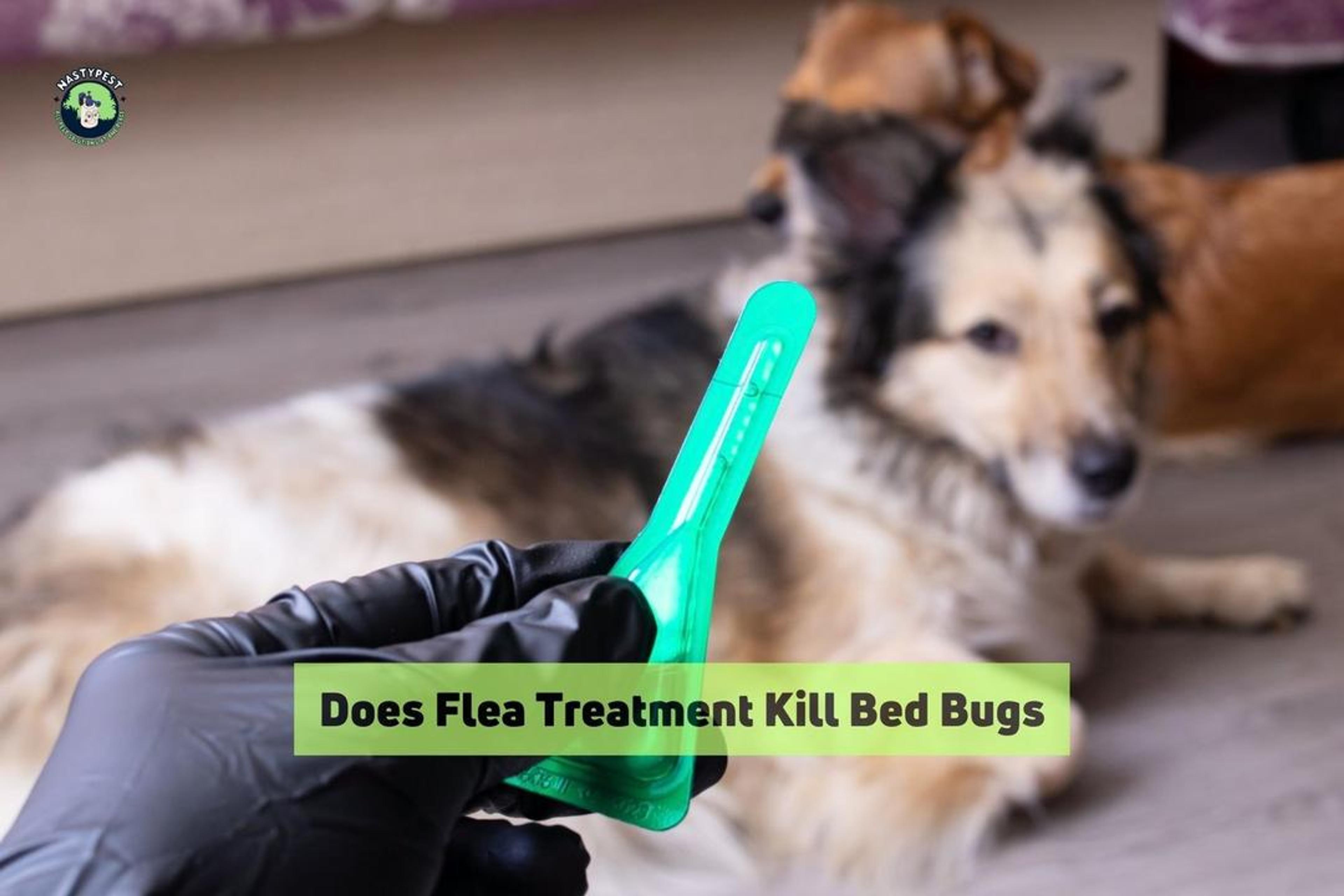 Does Flea Treatment Kill Bed Bugs