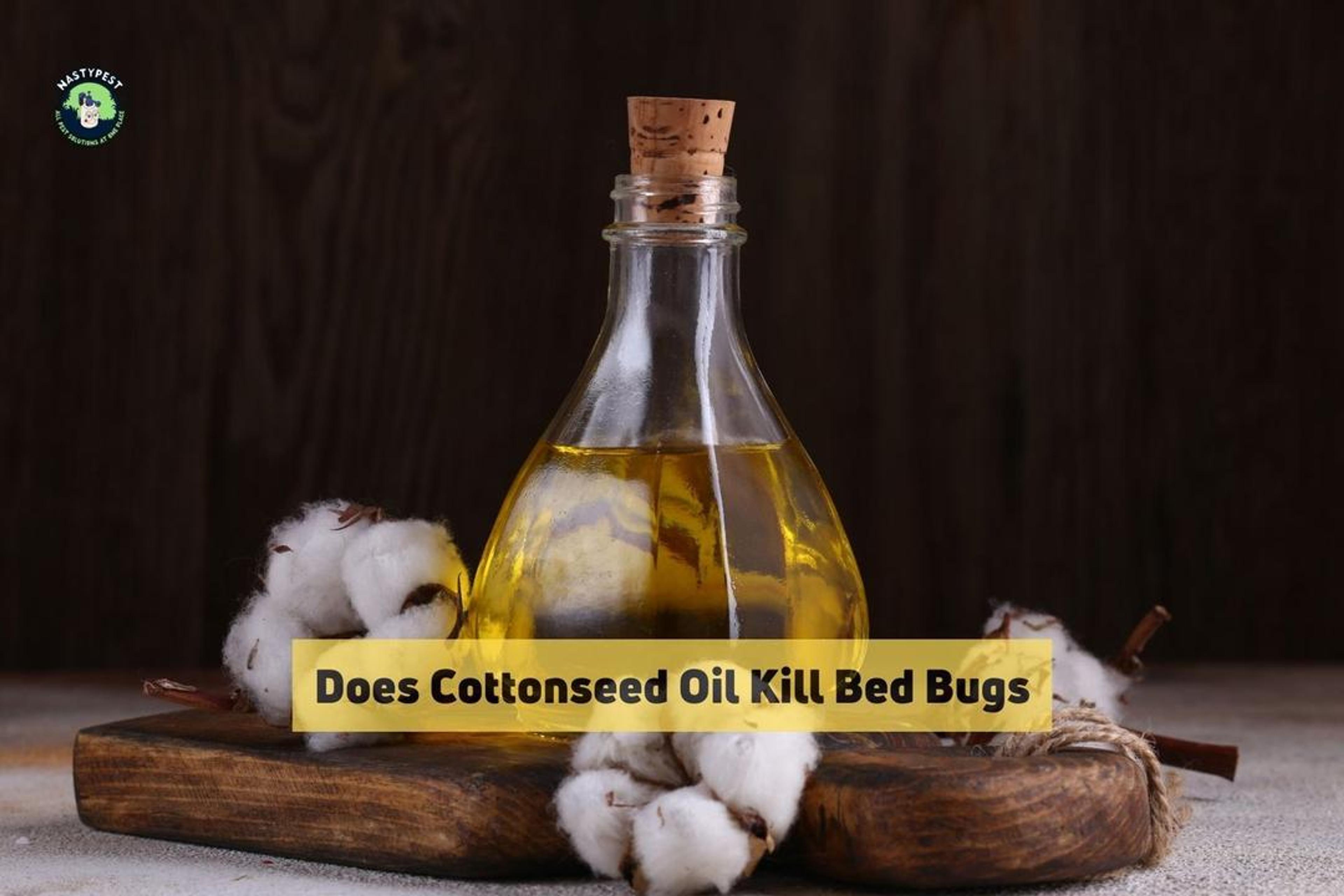 Does Cottonseed Oil Kill Bed Bugs